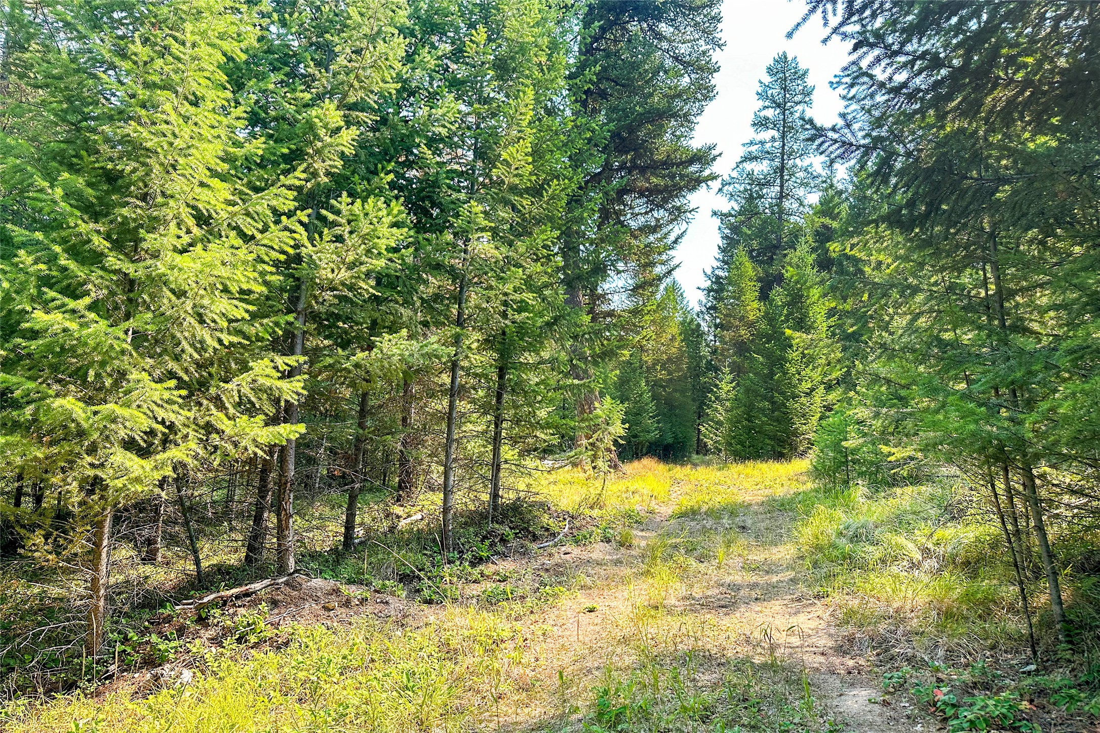 202 Grizzly Gulch Road