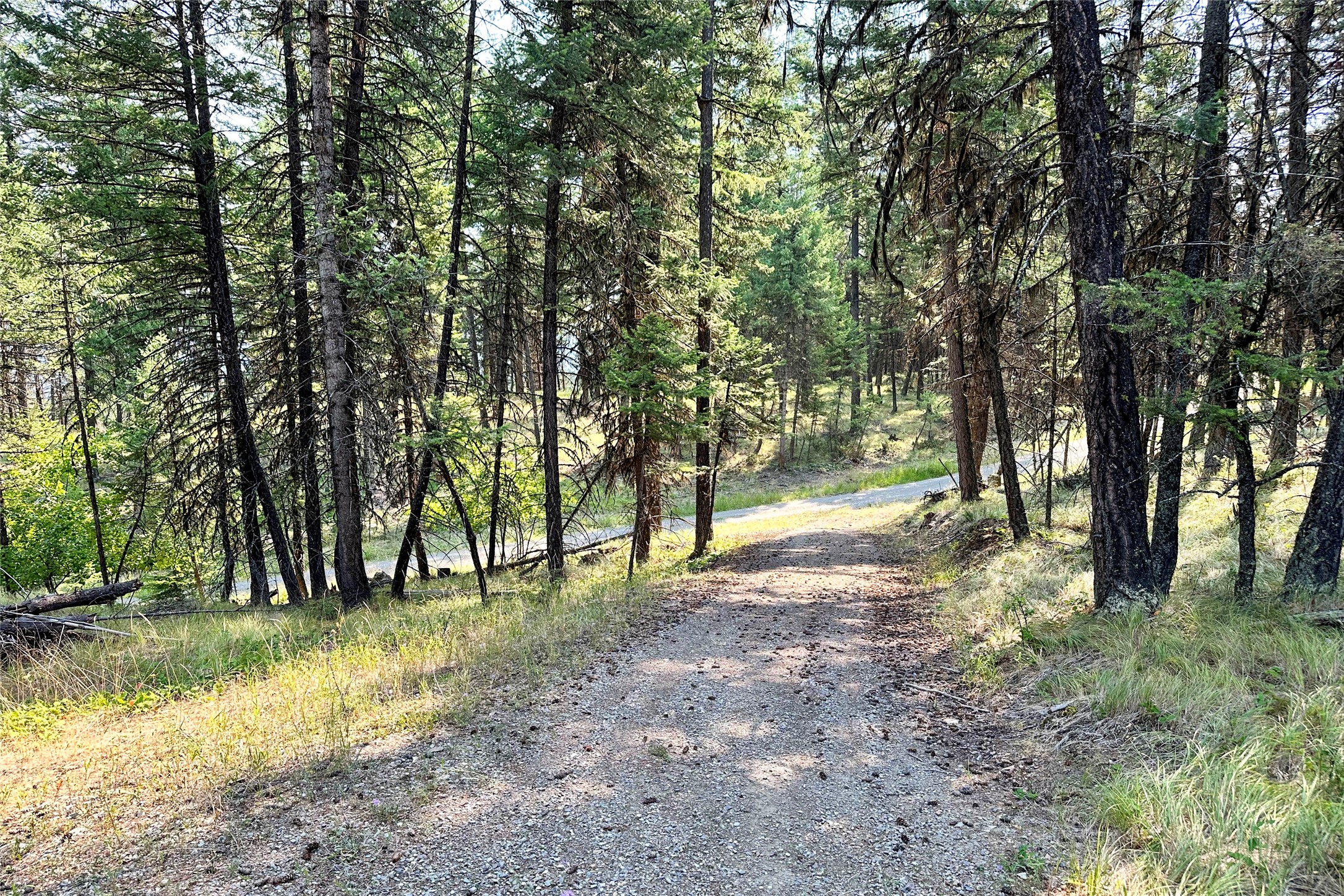 202 Grizzly Gulch Road