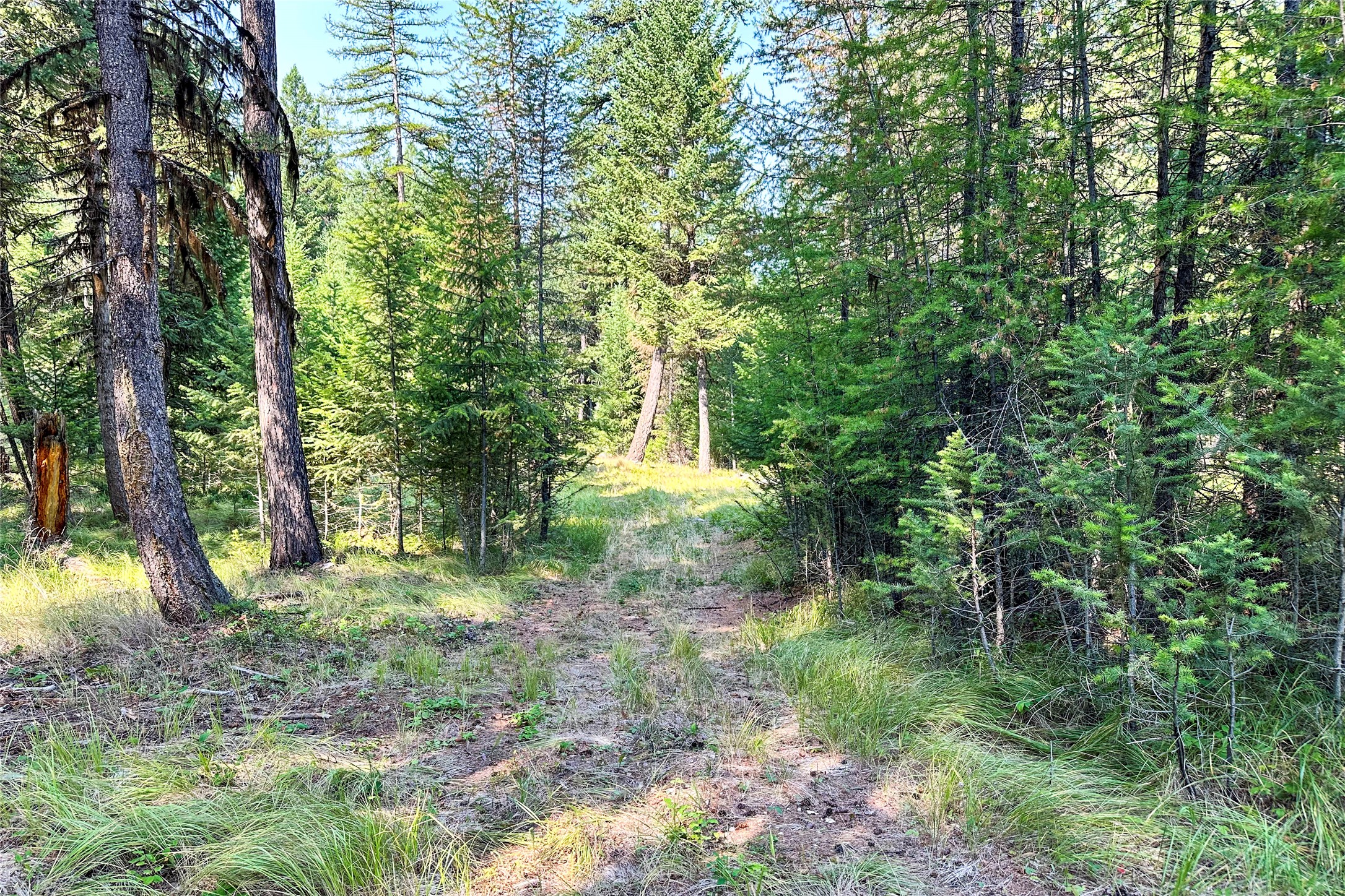 202 Grizzly Gulch Road