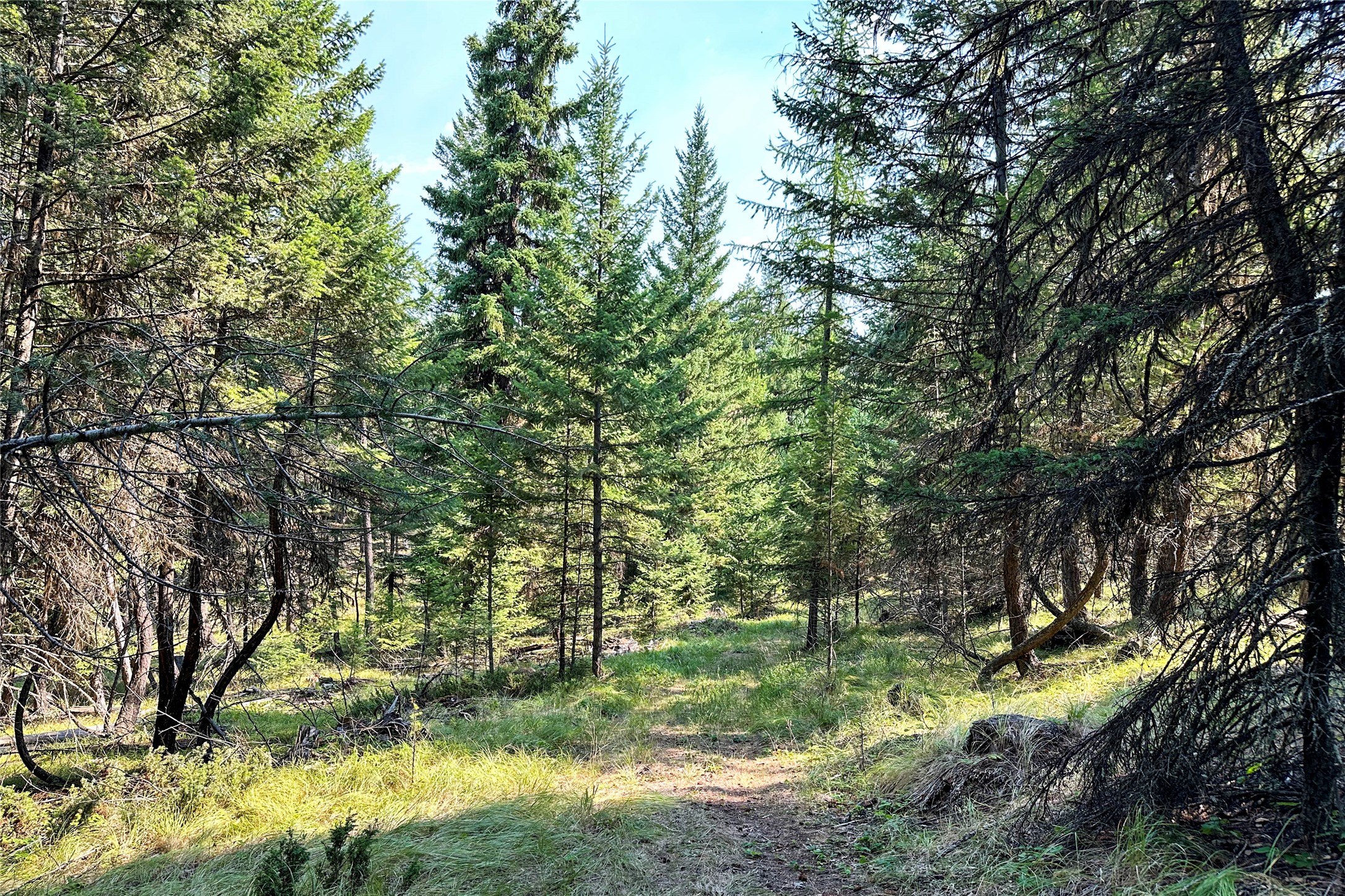 202 Grizzly Gulch Road