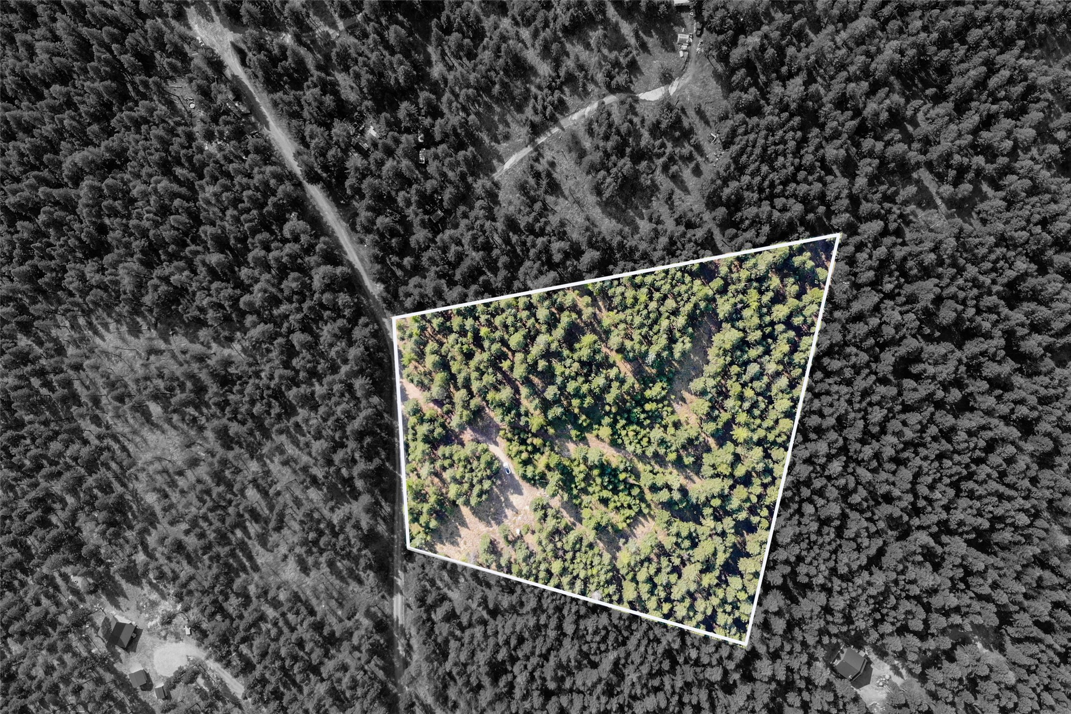 202 Grizzly Gulch Road