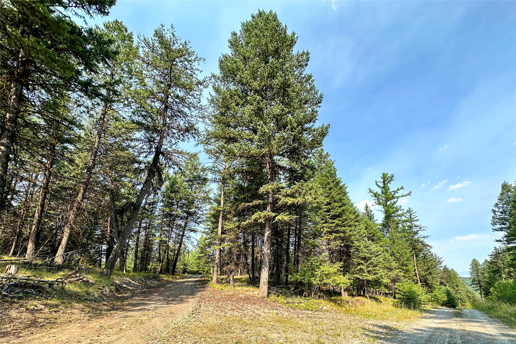 202 Grizzly Gulch Road