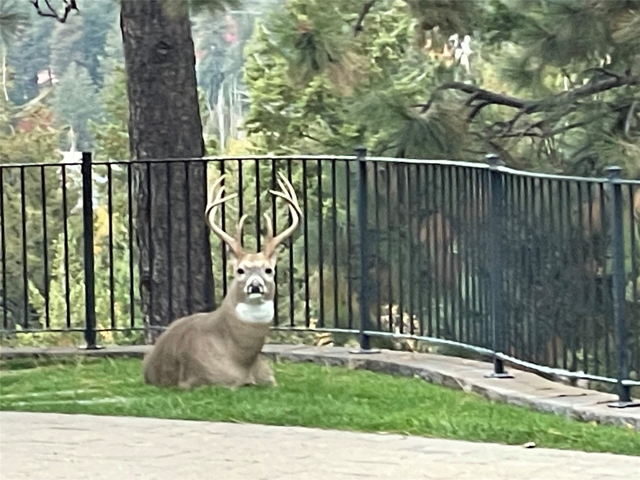 151 Whisper Ridge Drive