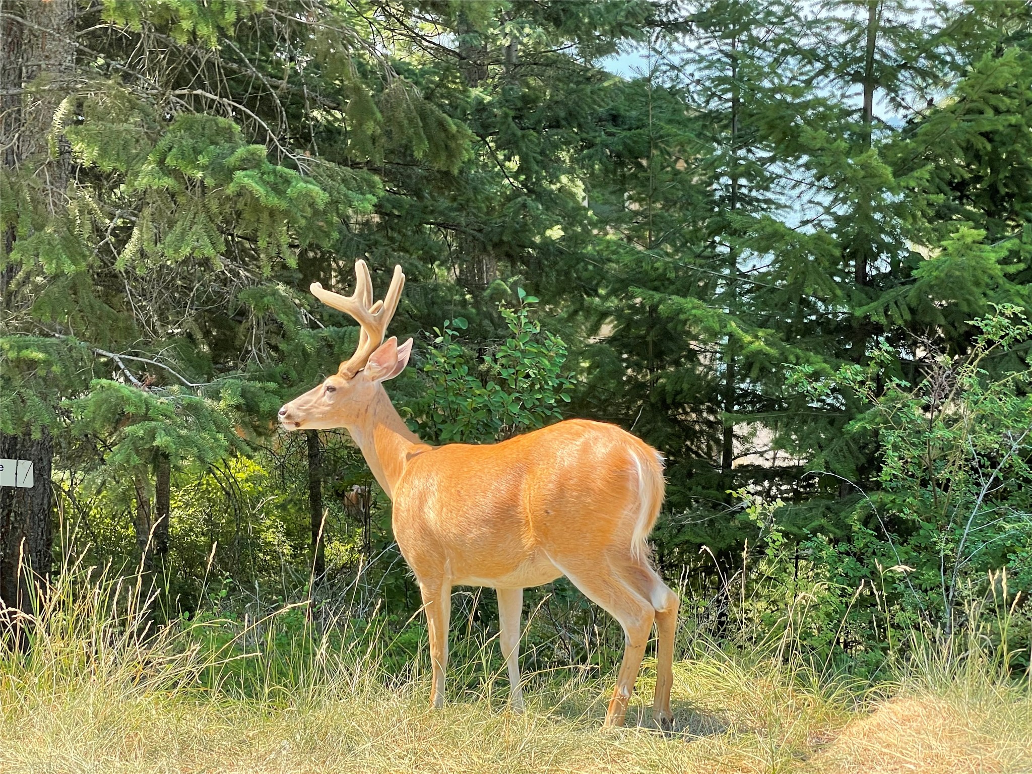 151 Whisper Ridge Drive