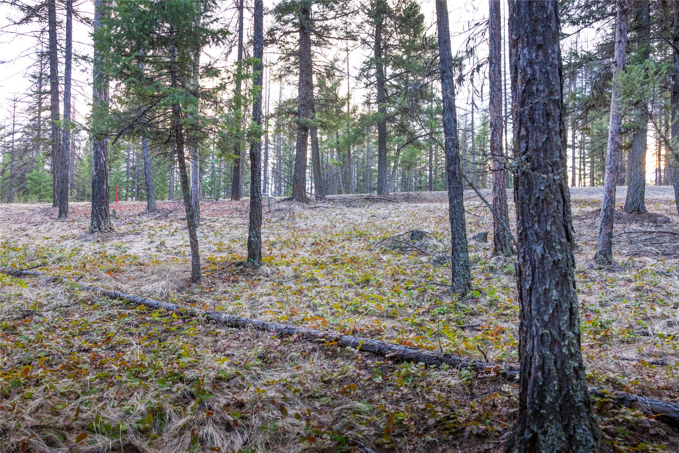 478 Crystal Lakes Drive