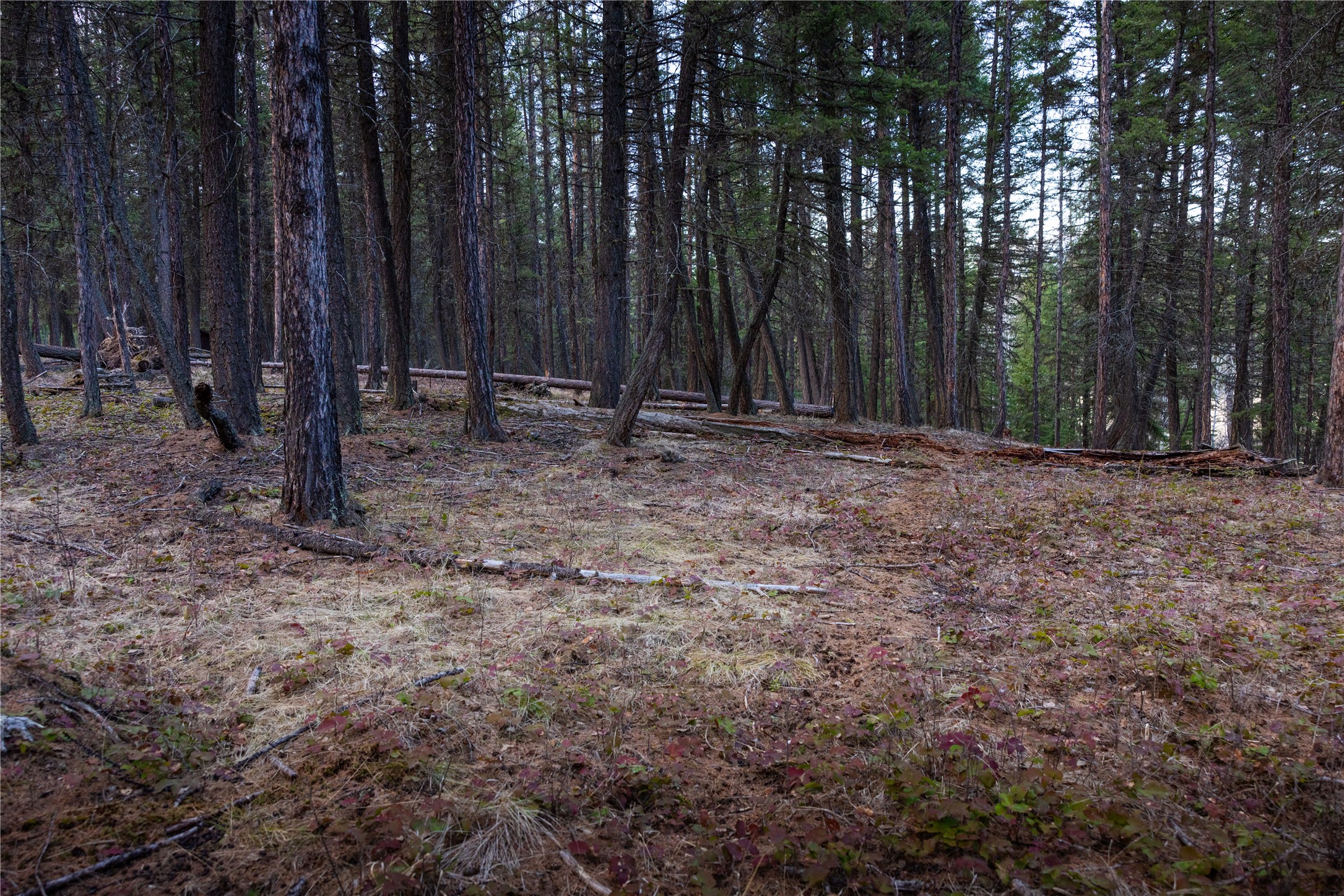 478 Crystal Lakes Drive