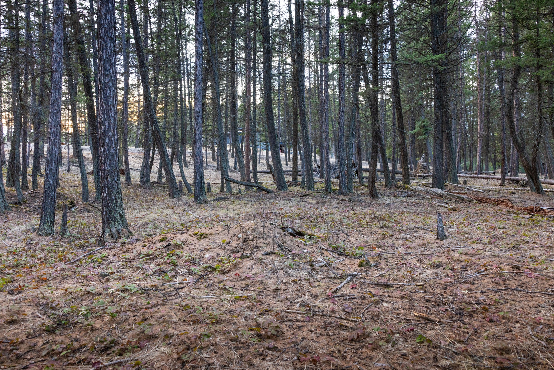 478 Crystal Lakes Drive