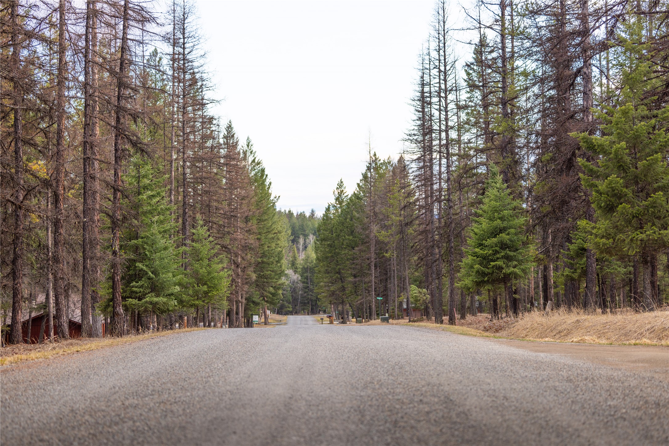 478 Crystal Lakes Drive