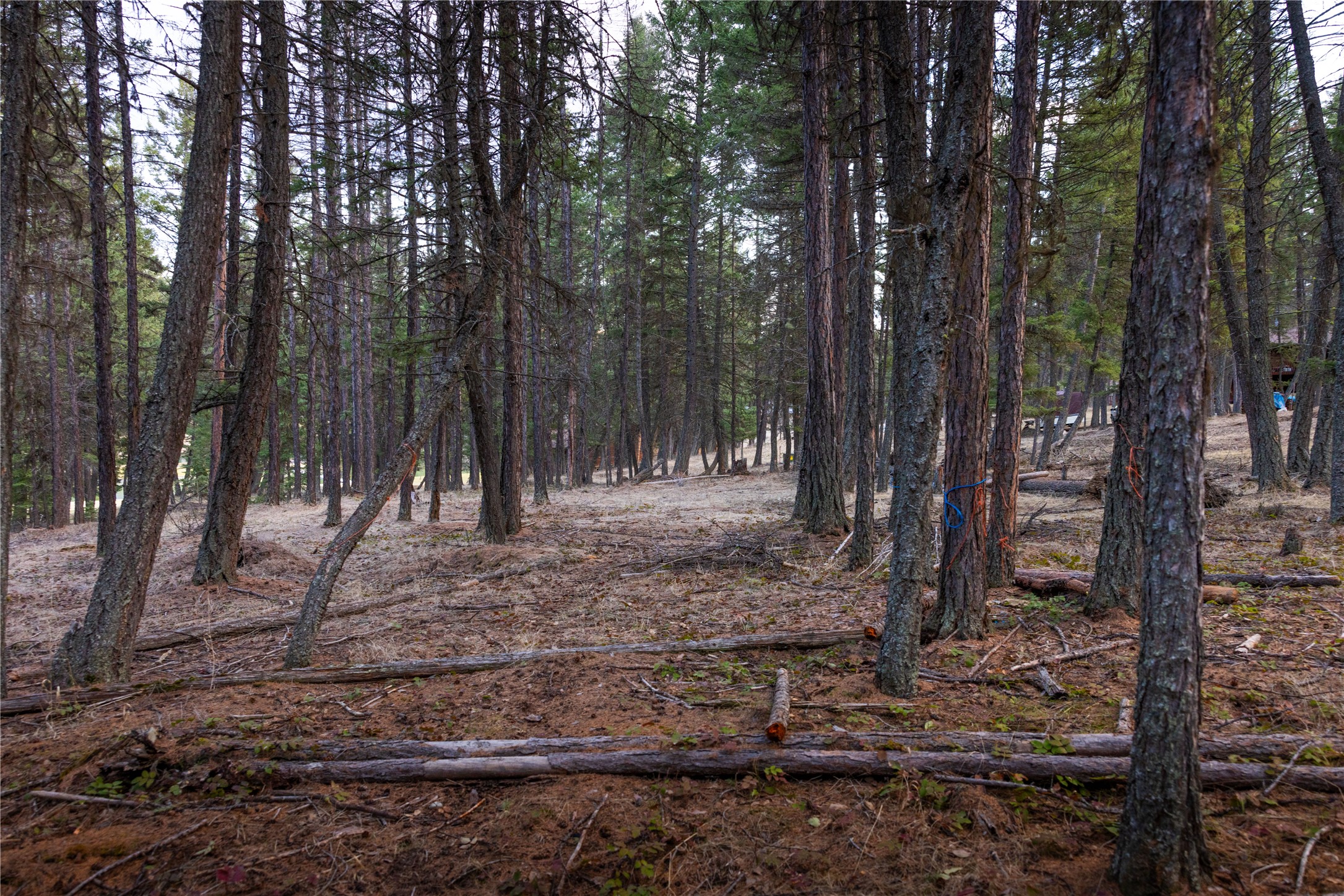 478 Crystal Lakes Drive