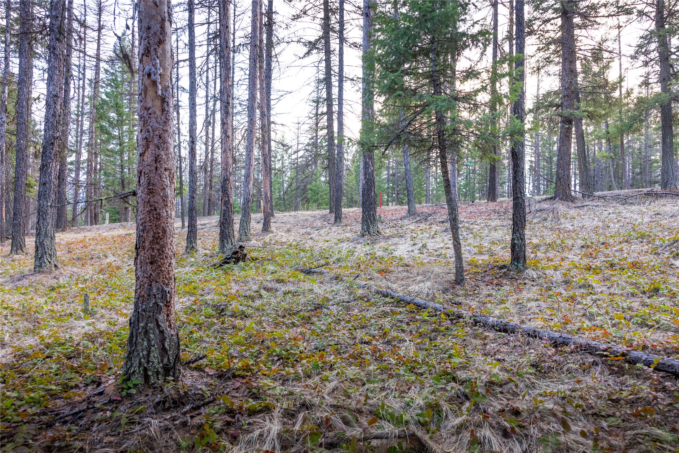 478 Crystal Lakes Drive