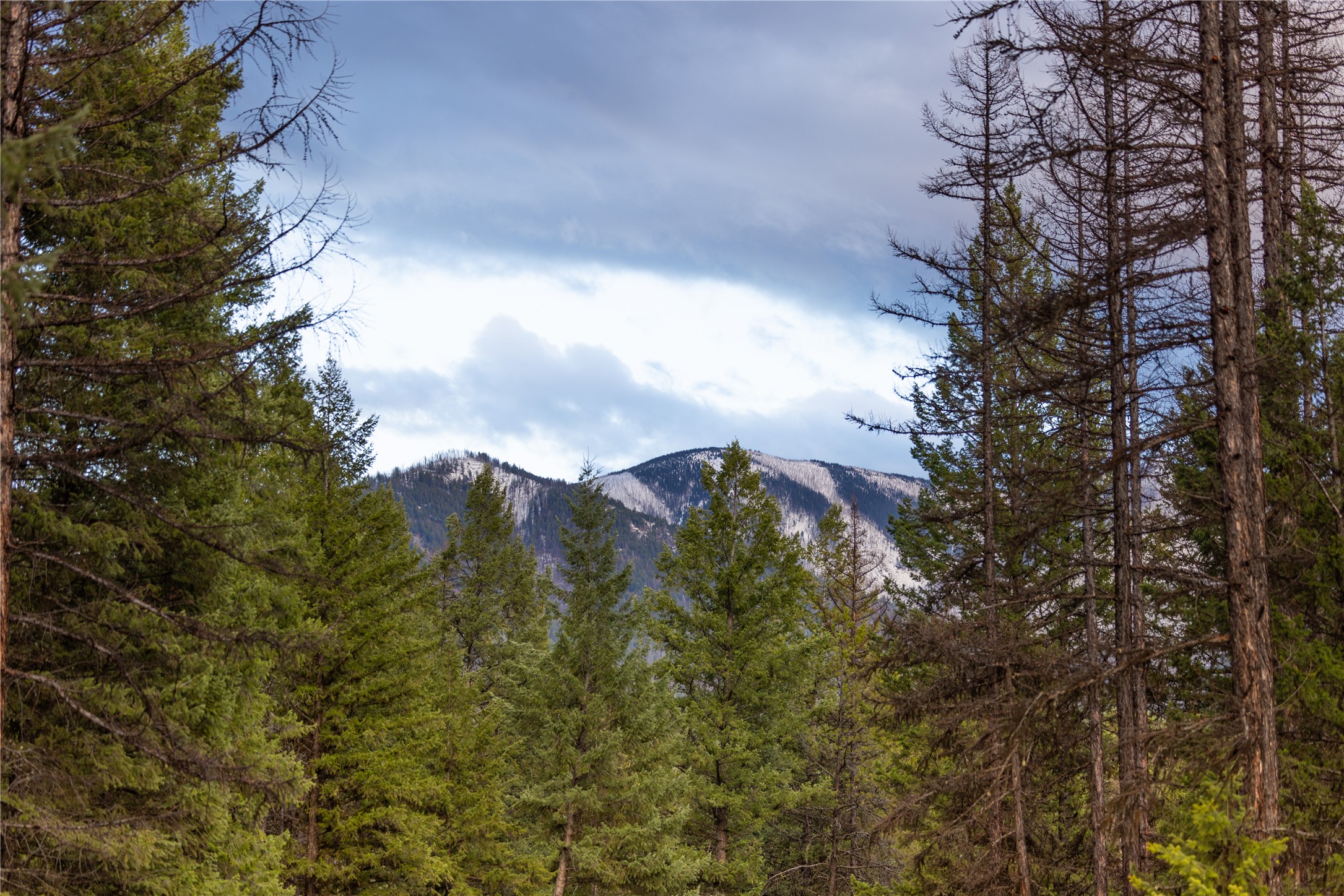 478 Crystal Lakes Drive