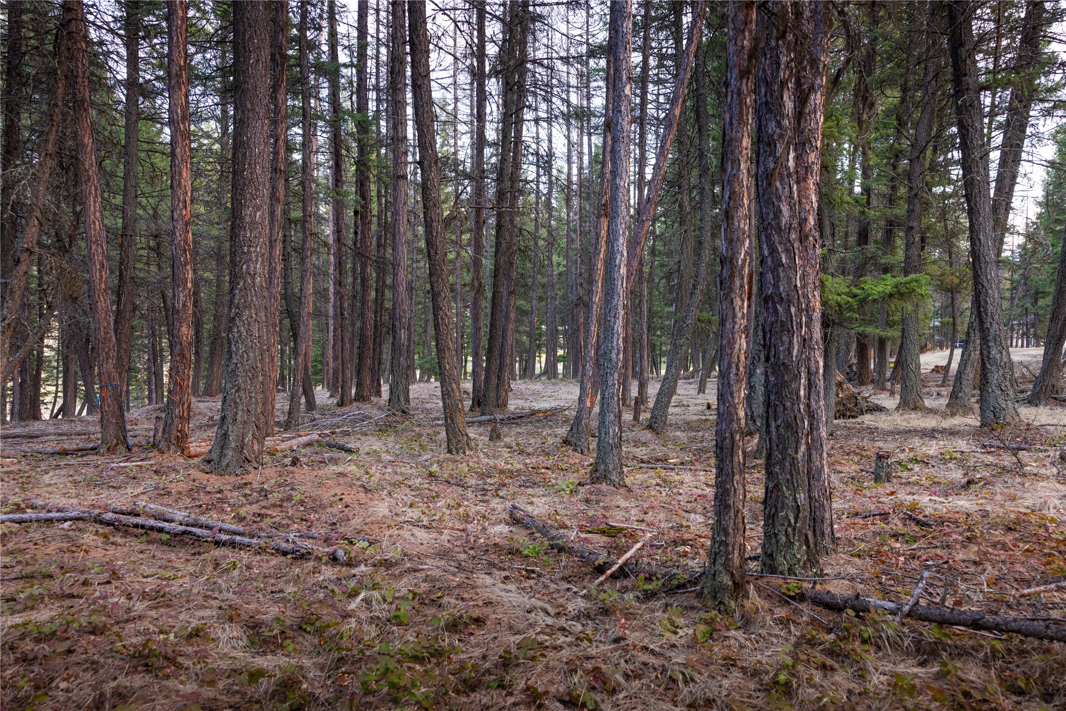 478 Crystal Lakes Drive