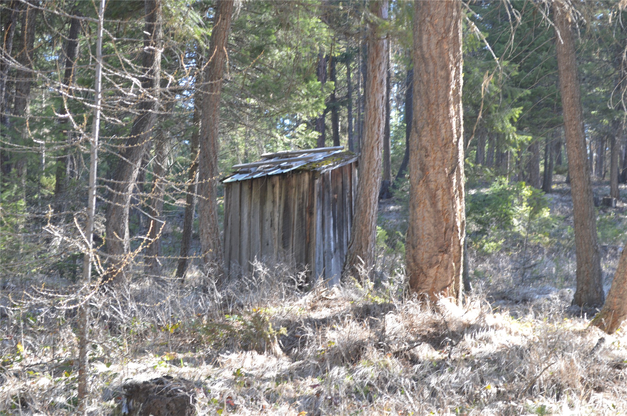 722 Rifle Range Road