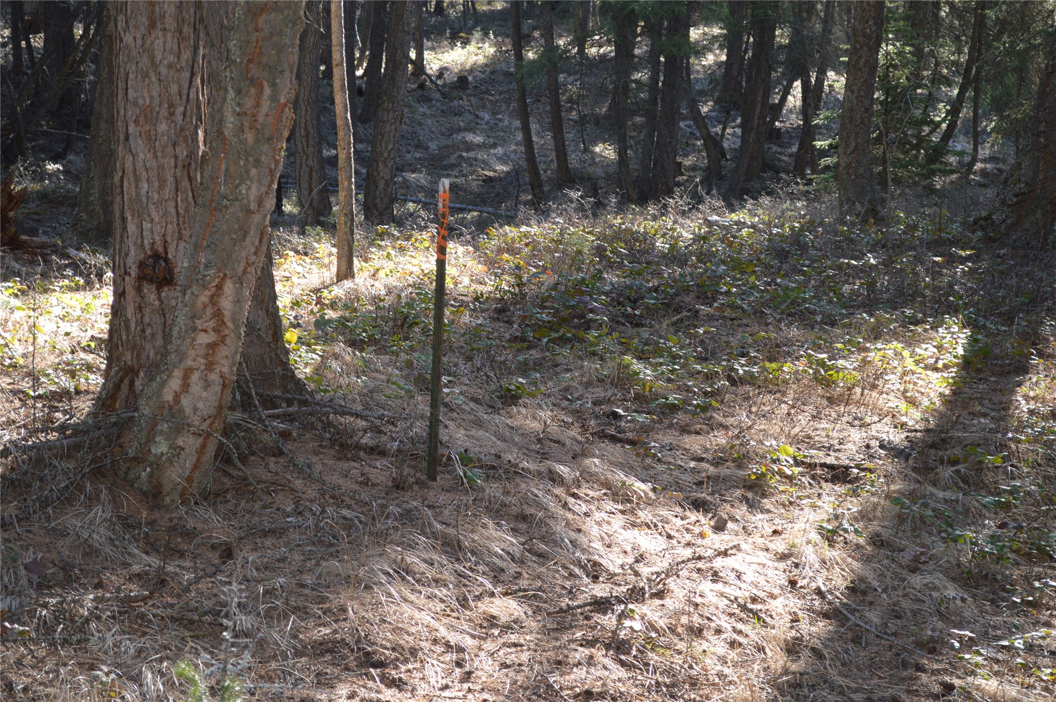 722 Rifle Range Road