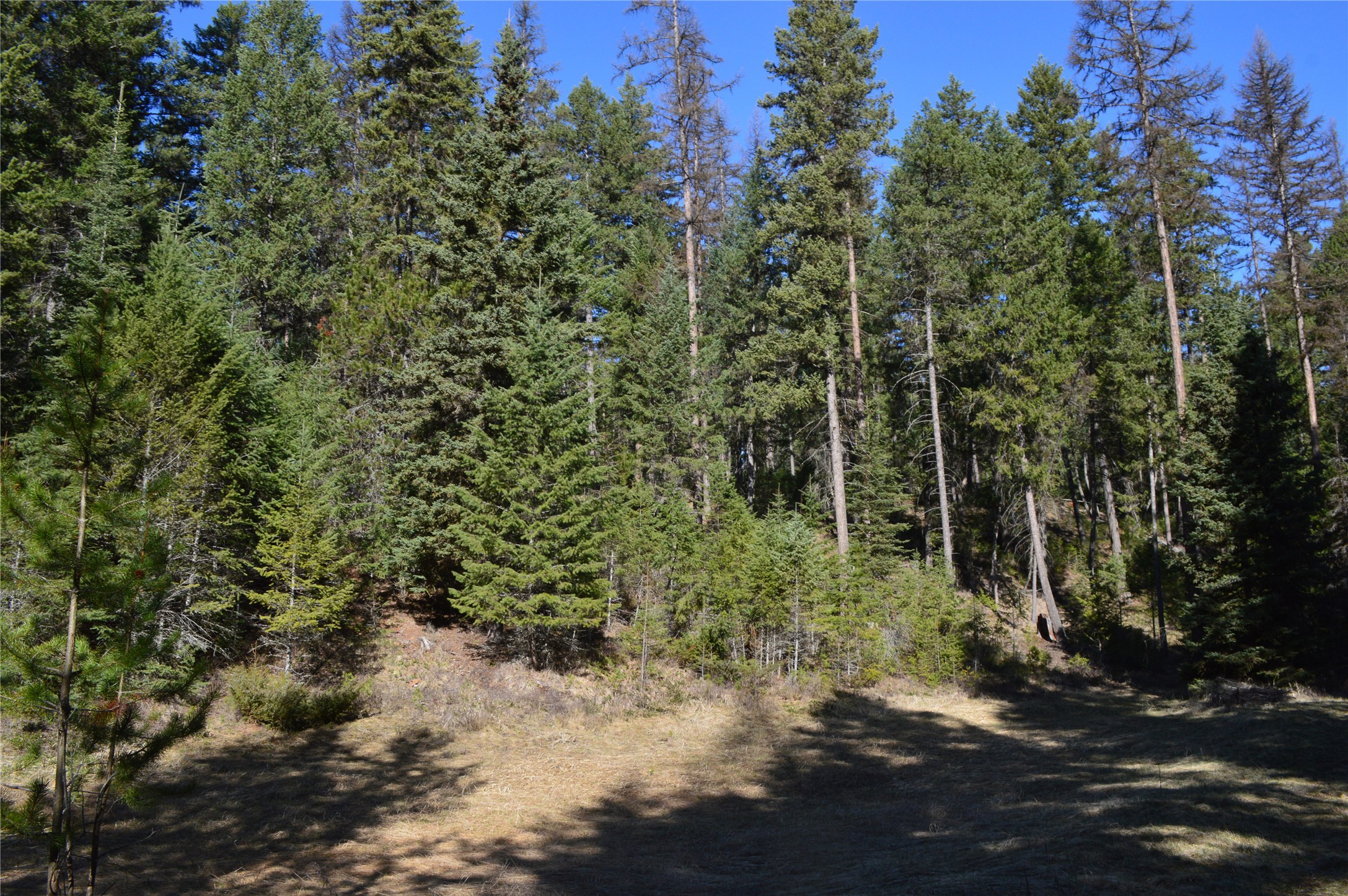 722 Rifle Range Road