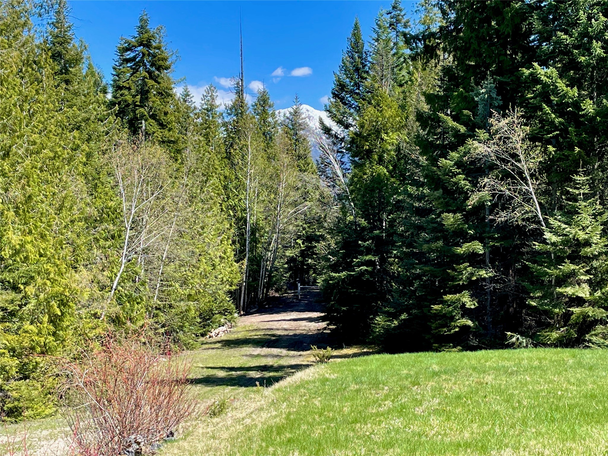 13818 Crystal Creek Lane