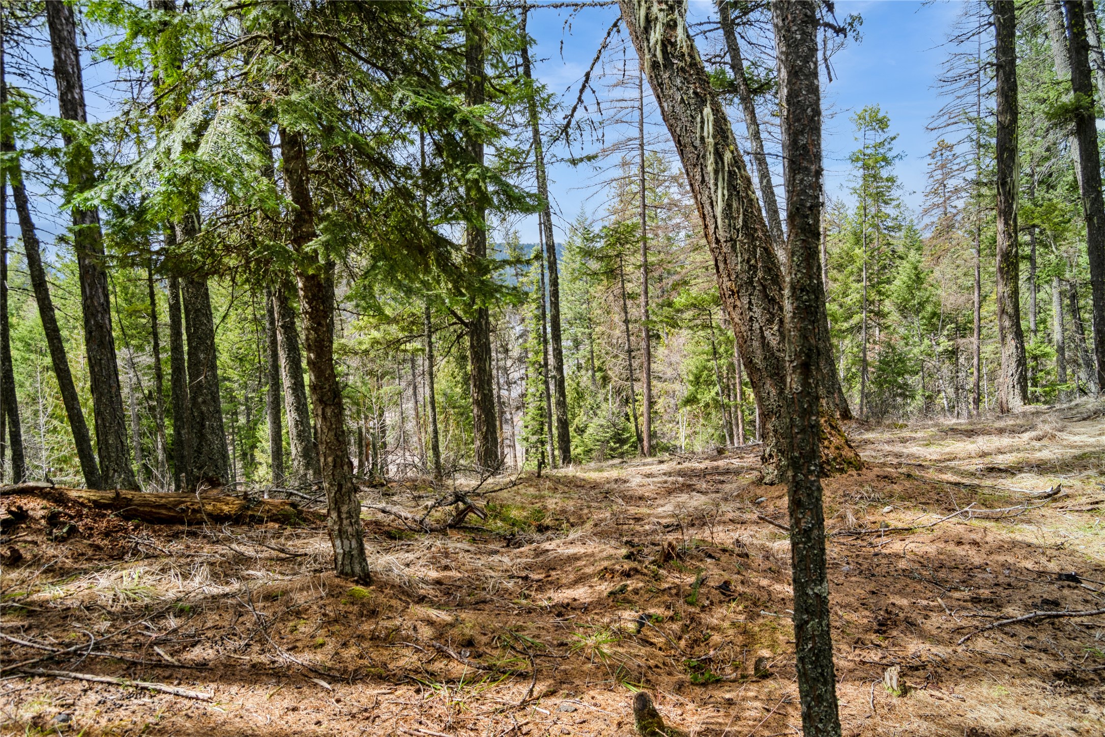 2521 E Lakeshore Drive