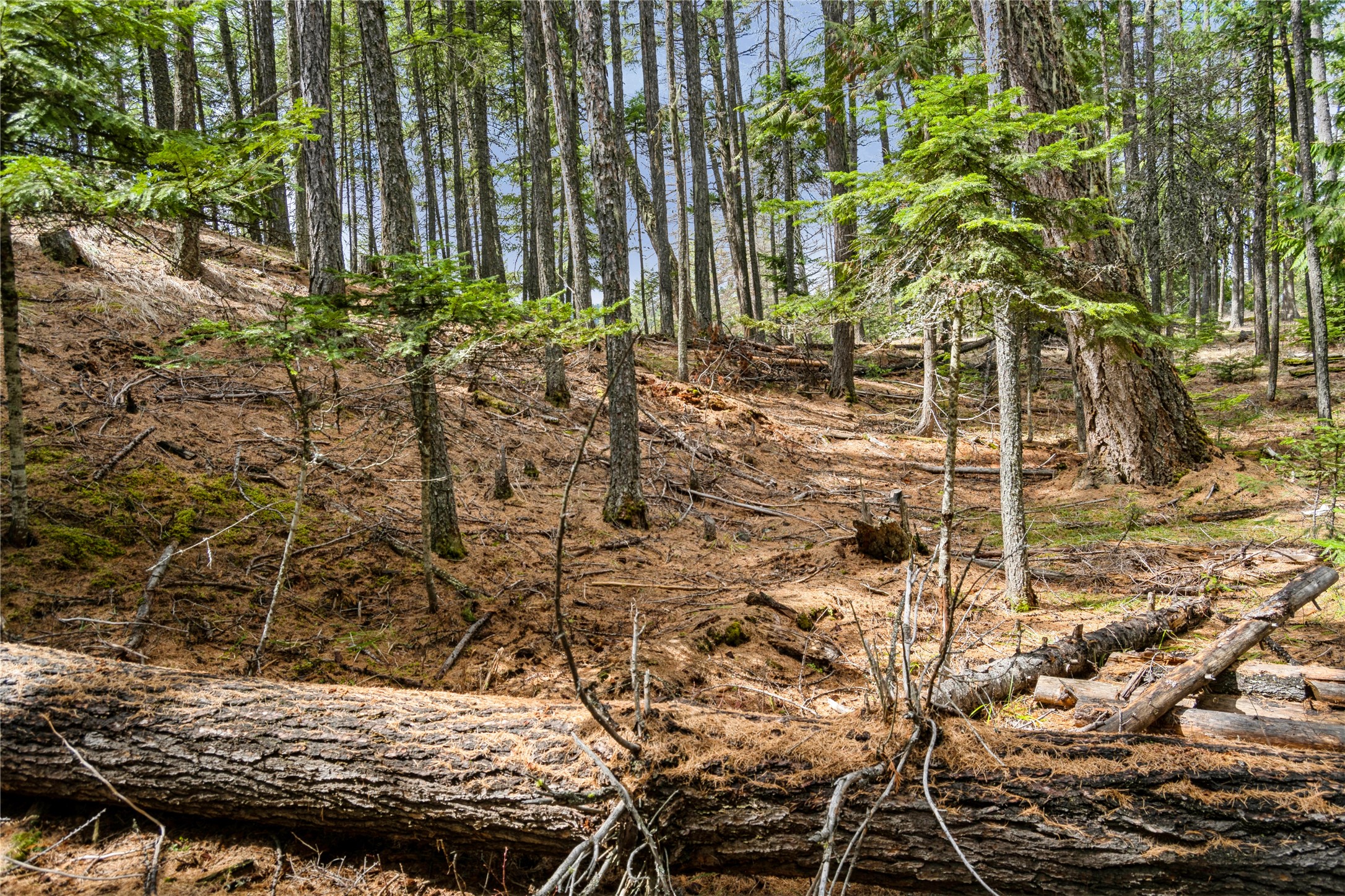 2521 E Lakeshore Drive