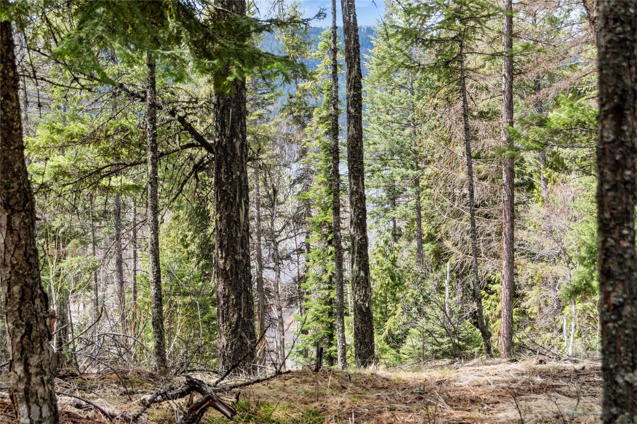 2521 E Lakeshore Drive