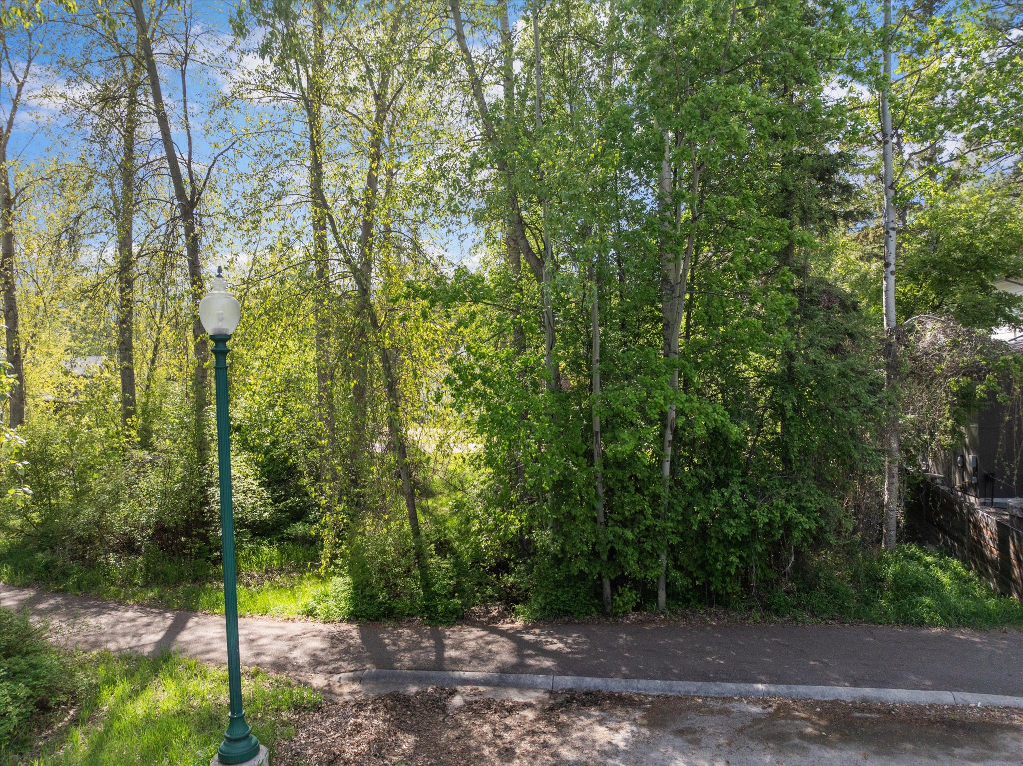 88 Cedar Pointe Loop