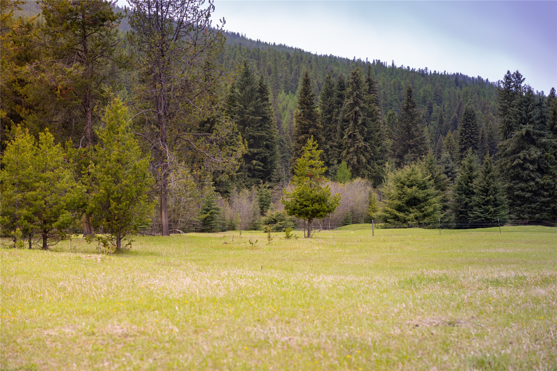 12520 Pinkham Creek Road