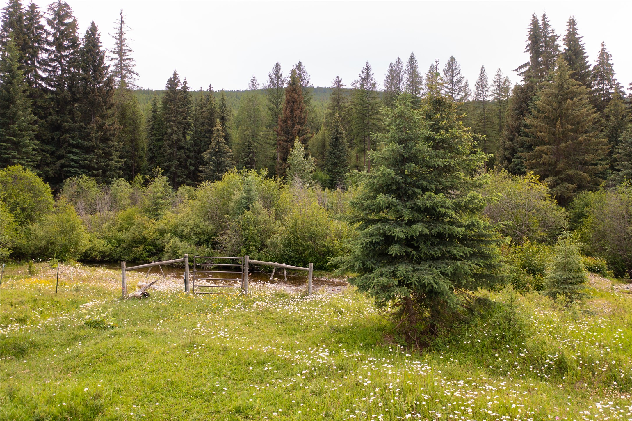 12520 Pinkham Creek Road