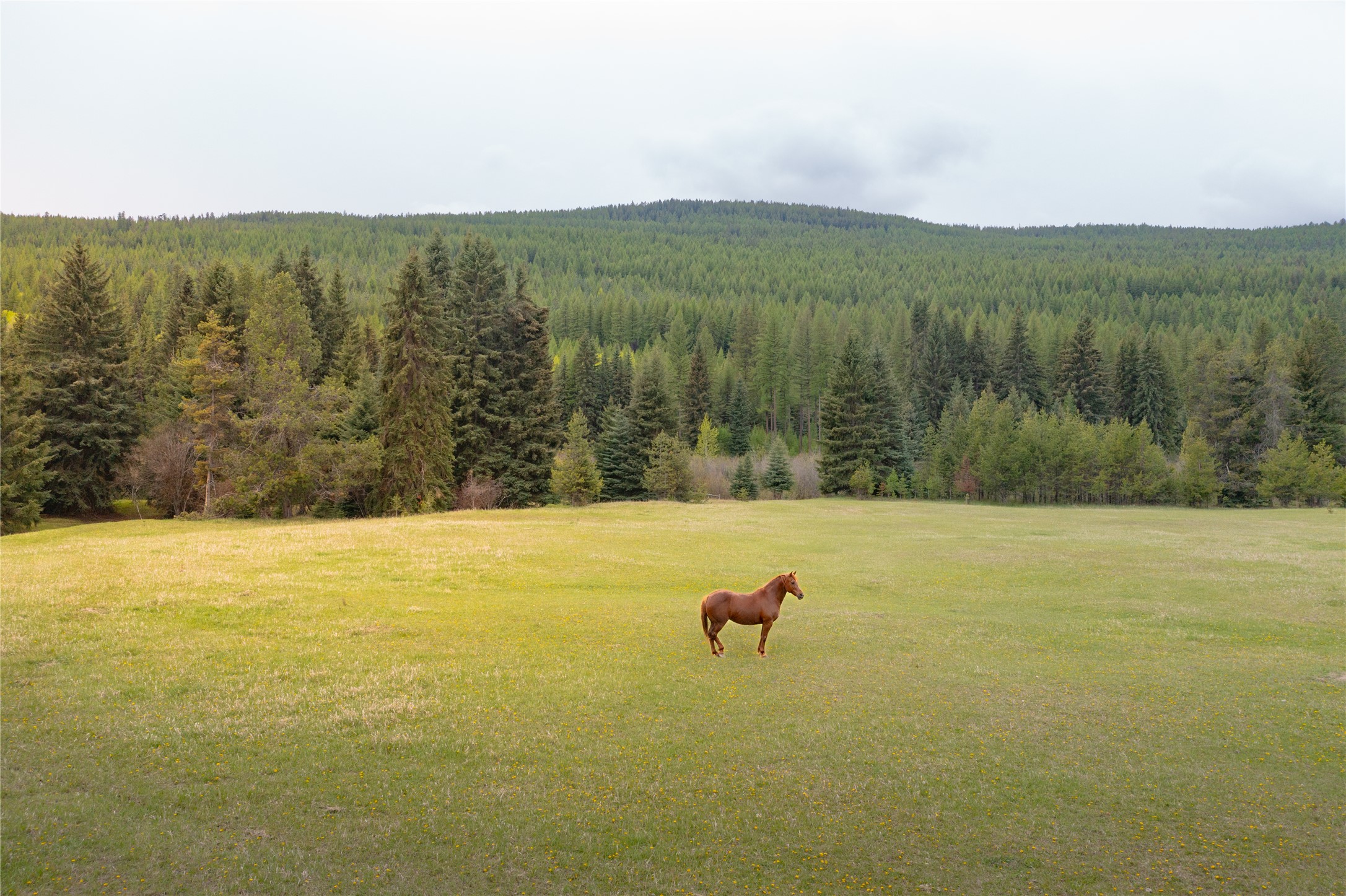 12520 Pinkham Creek Road