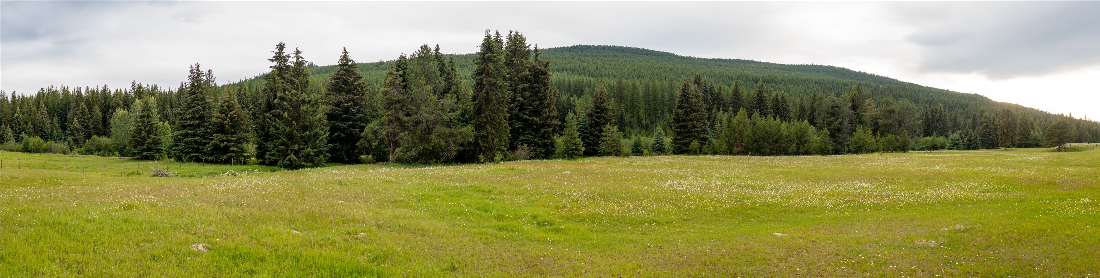 12520 Pinkham Creek Road