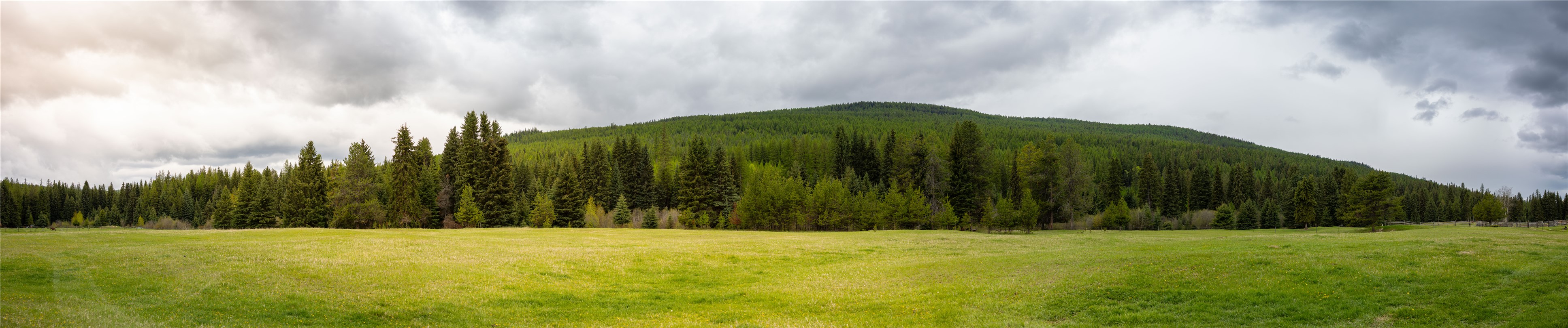 12520 Pinkham Creek Road