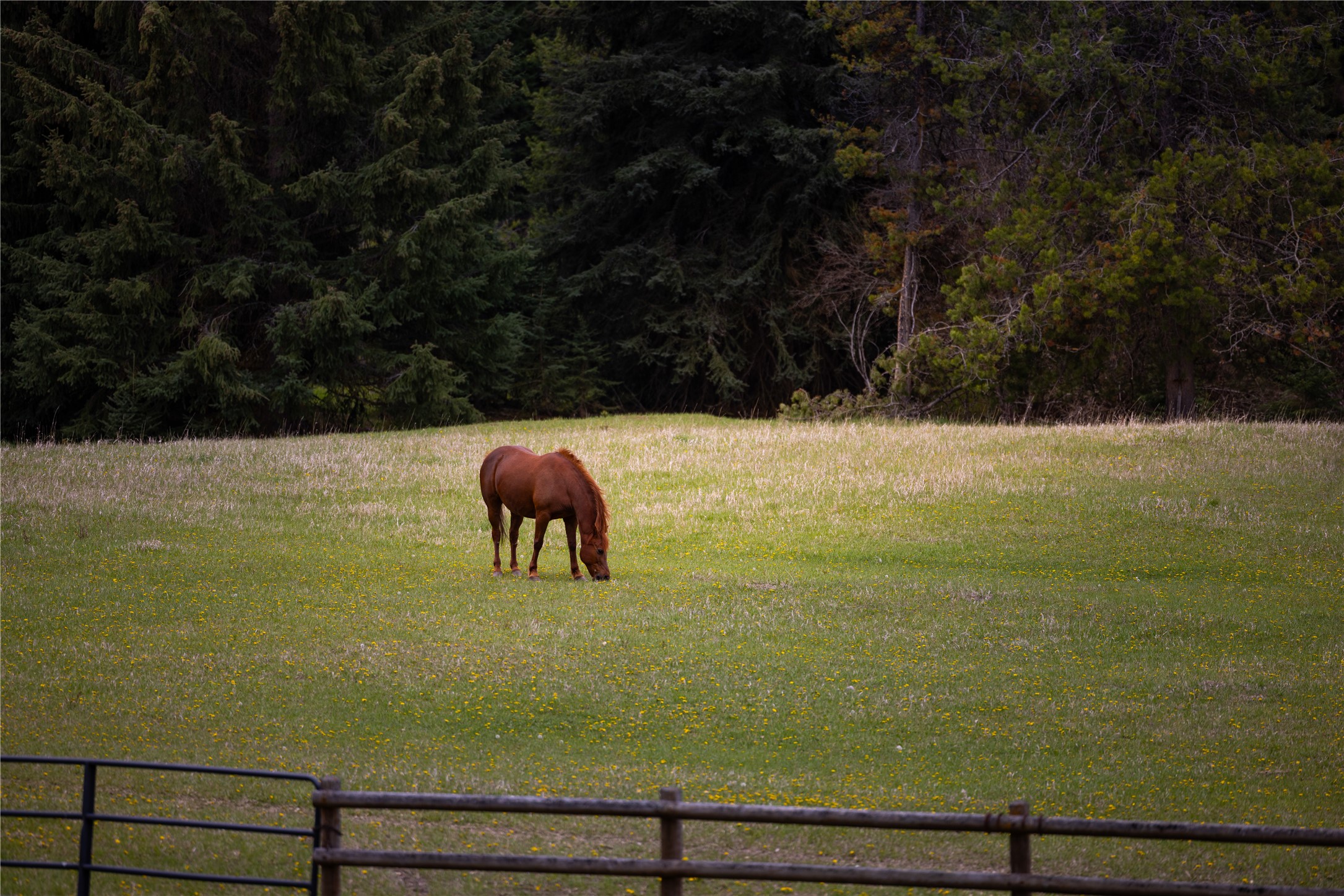 12520 Pinkham Creek Road