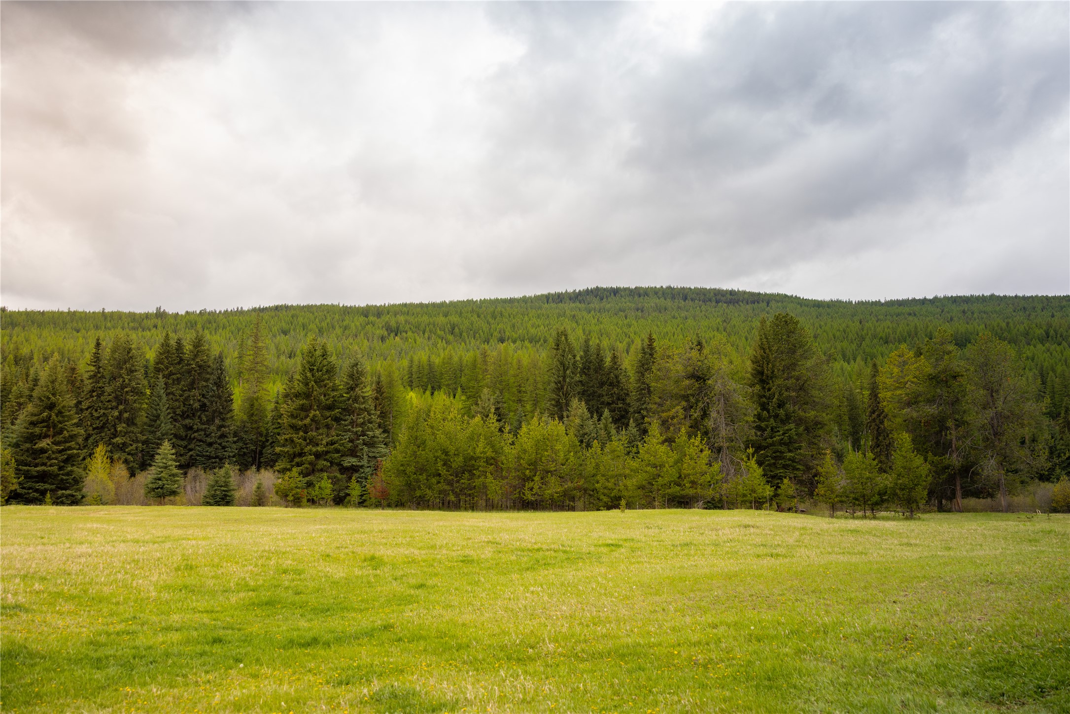 12520 Pinkham Creek Road