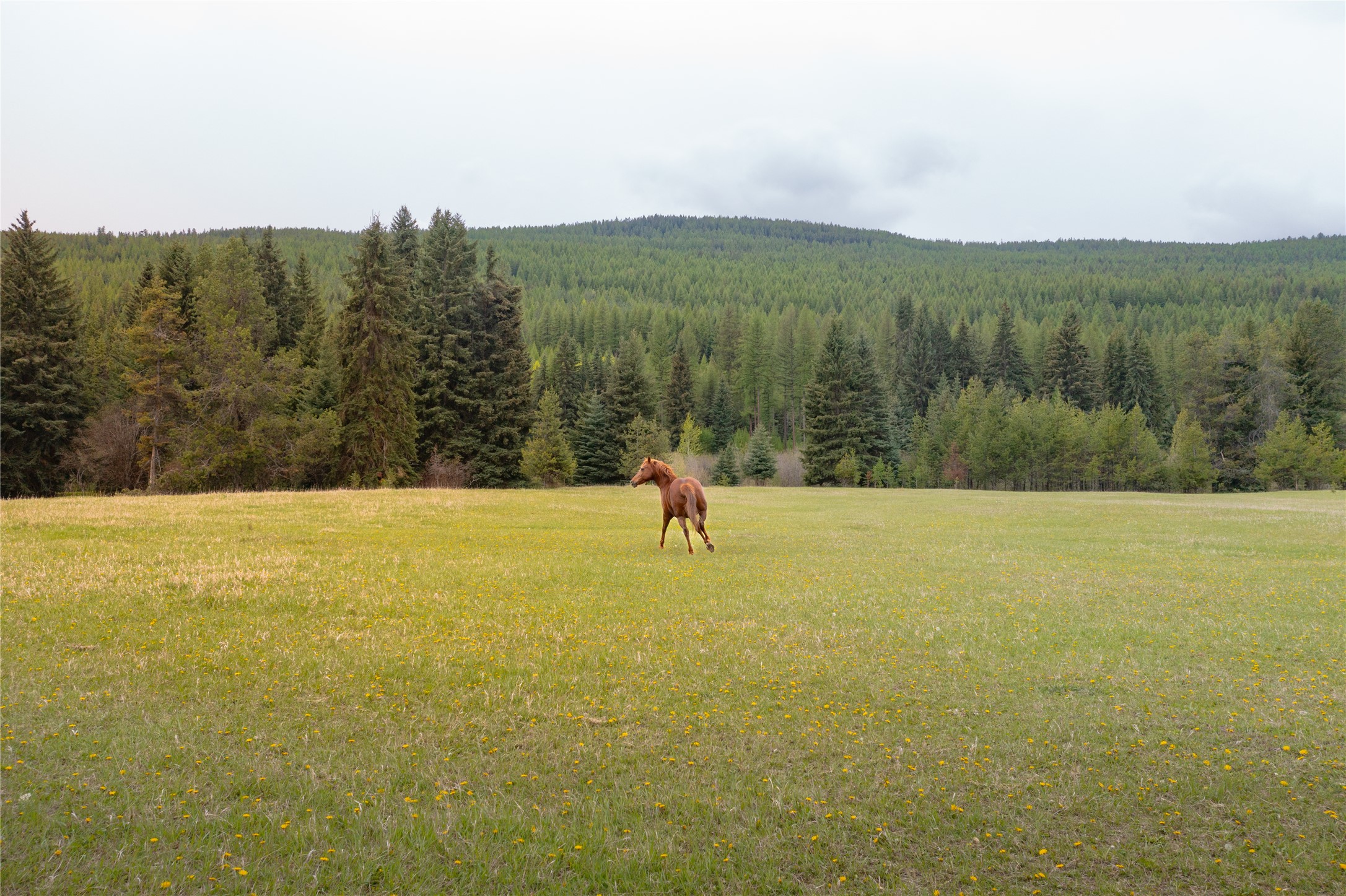 12520 Pinkham Creek Road