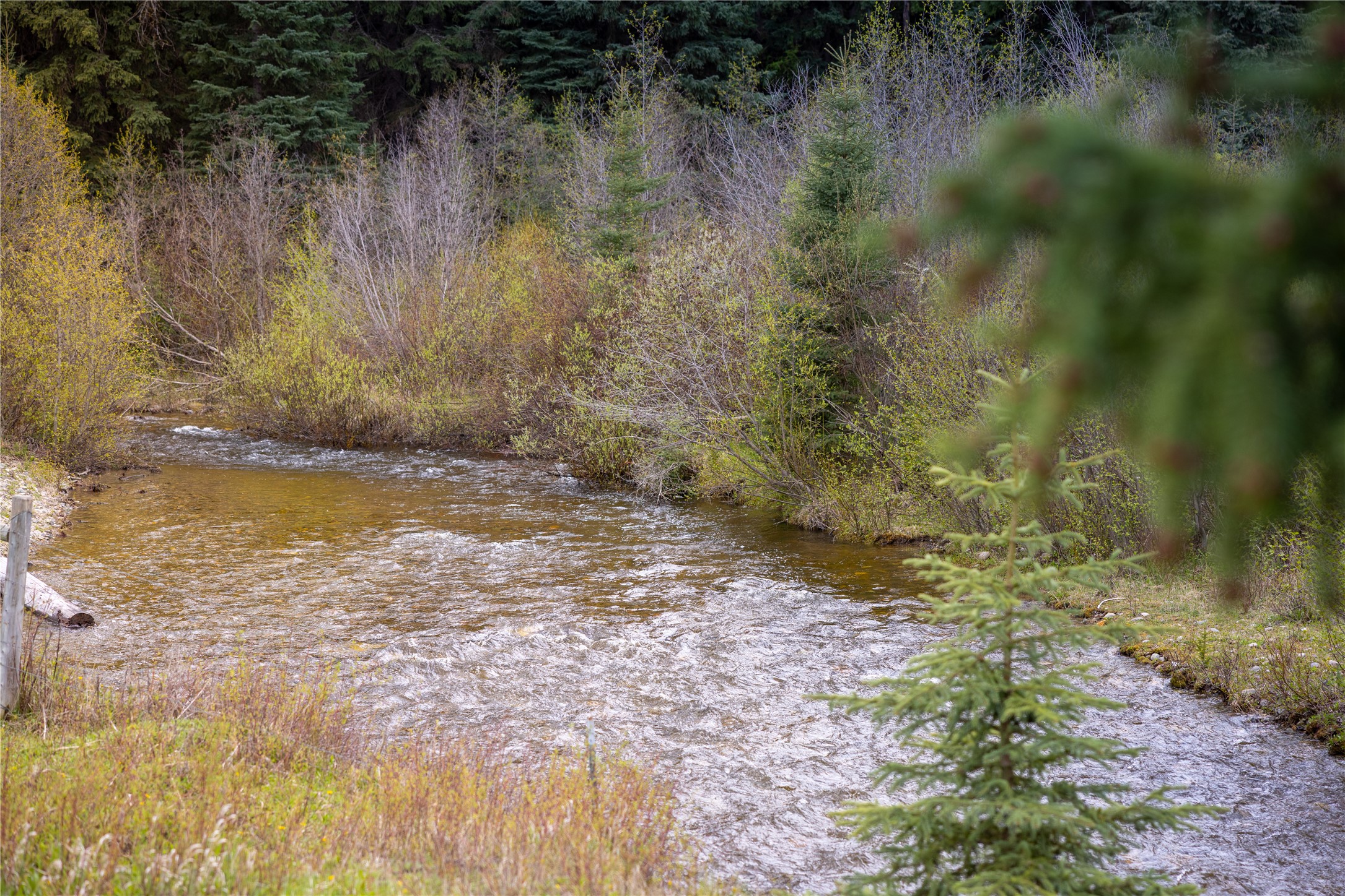 12520 Pinkham Creek Road