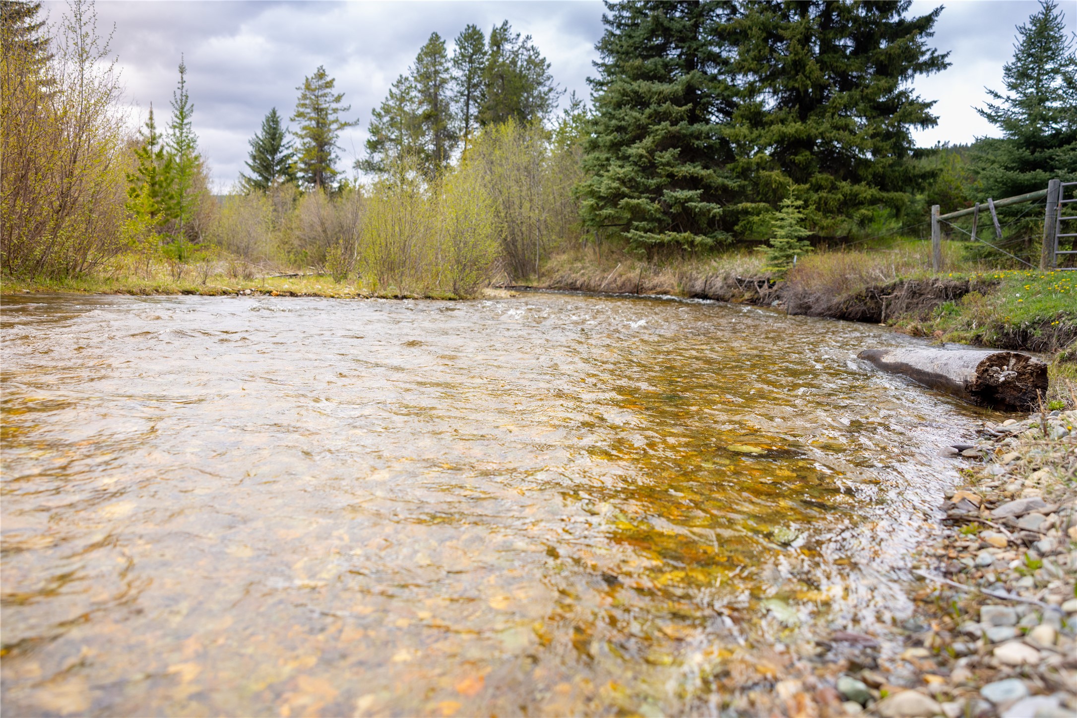 12520 Pinkham Creek Road