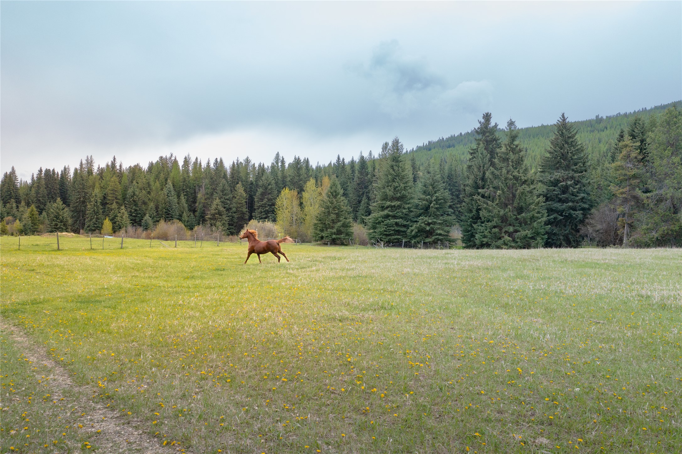 12520 Pinkham Creek Road