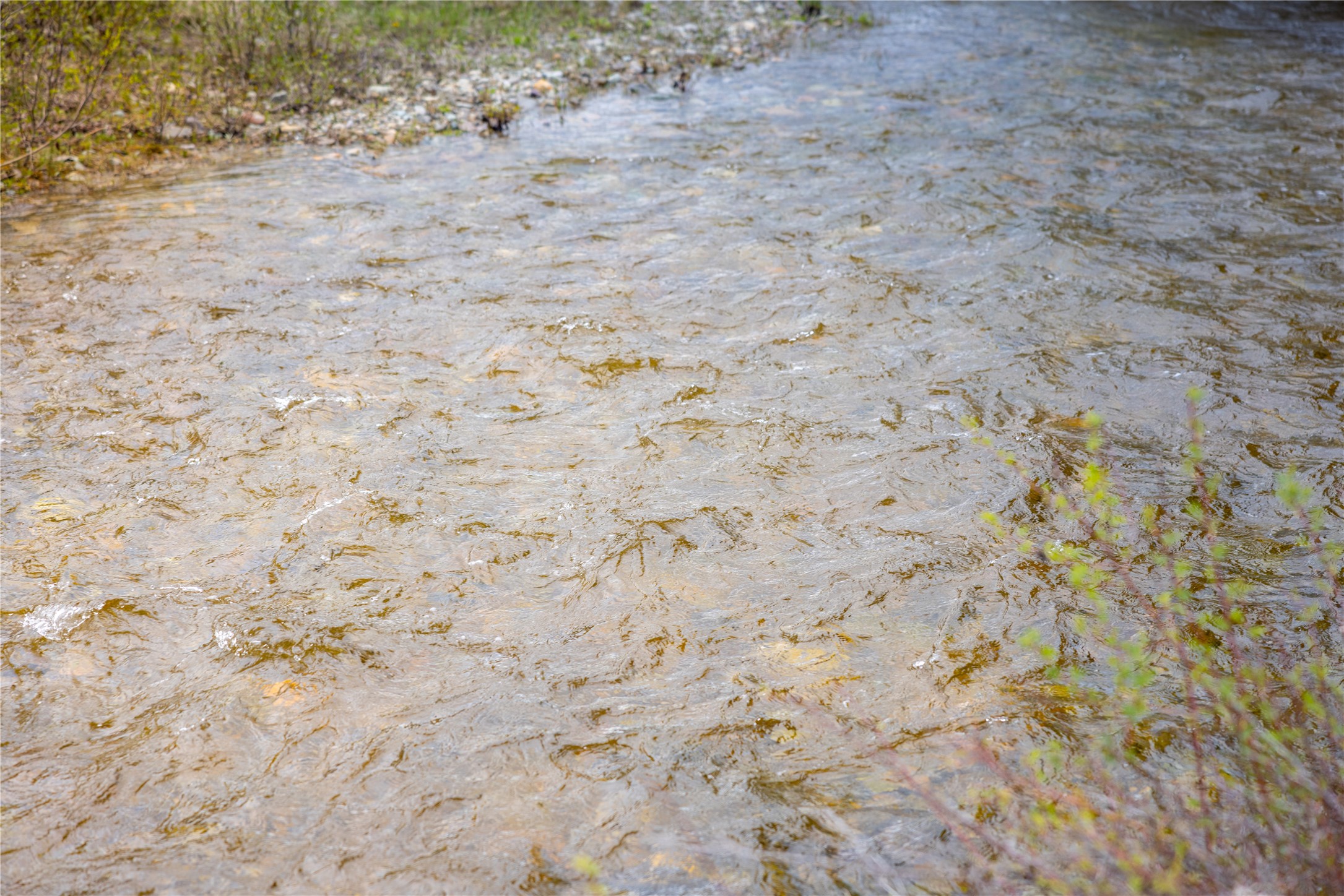 12520 Pinkham Creek Road