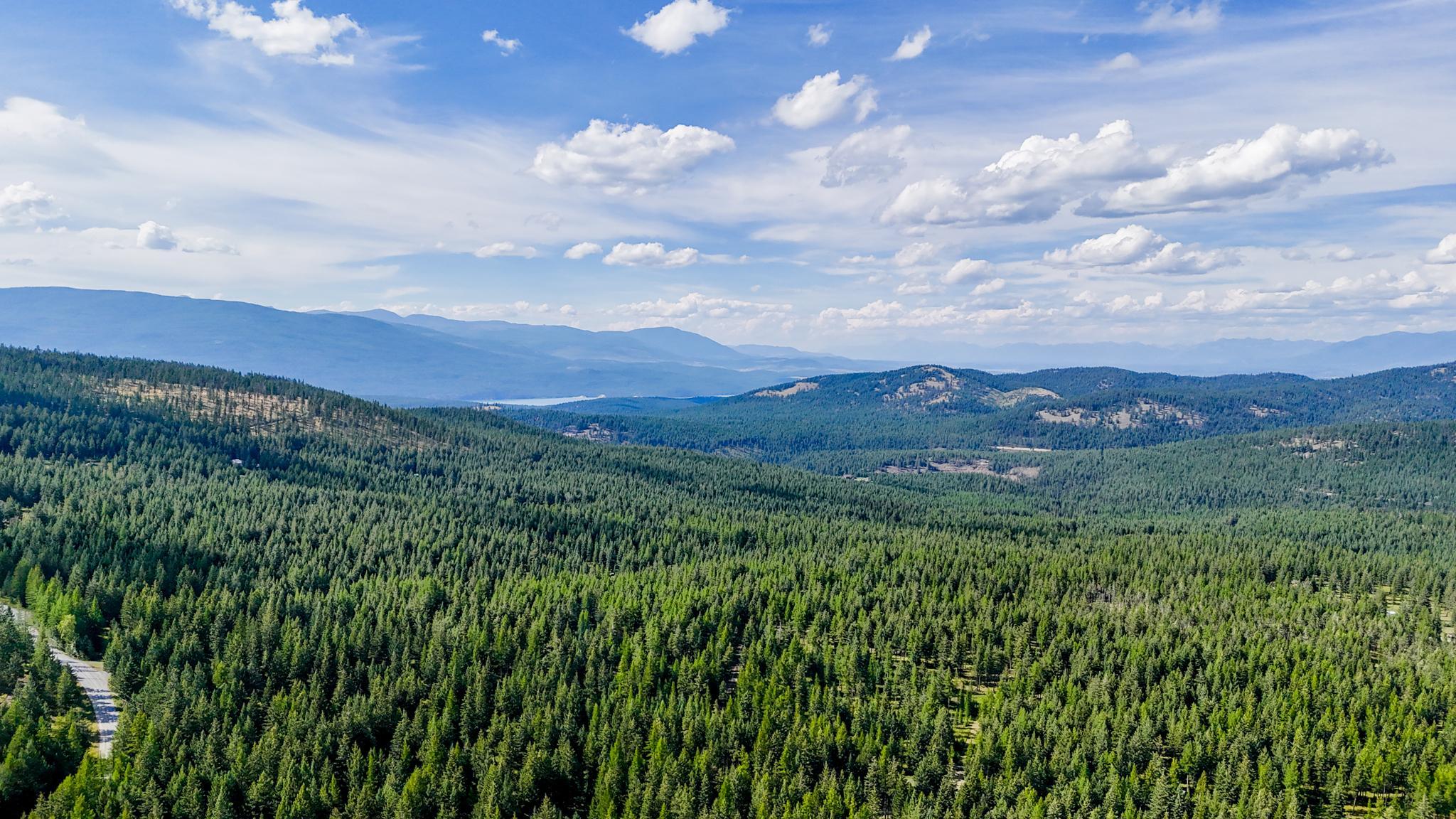 772 Moonshine Mountain Trail