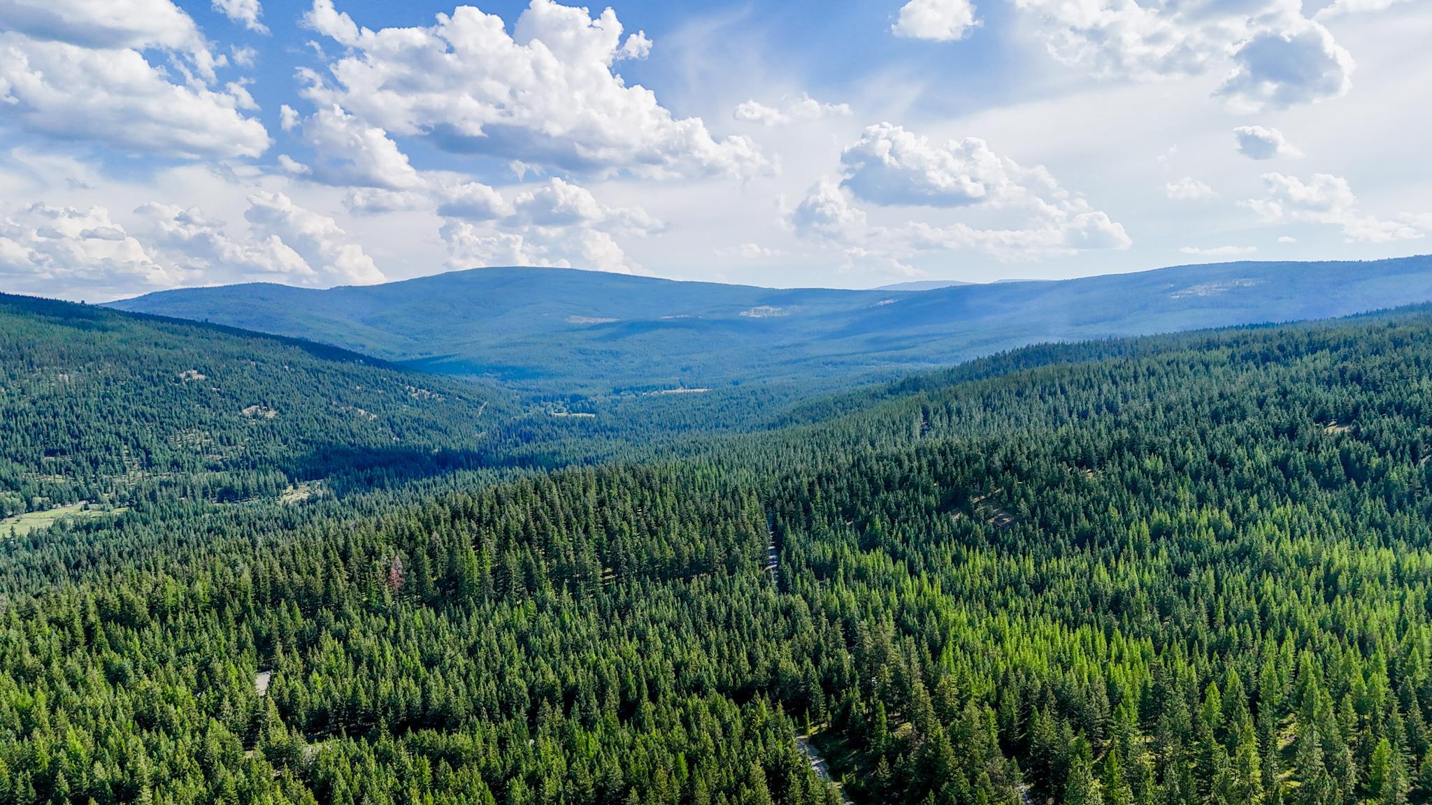 772 Moonshine Mountain Trail