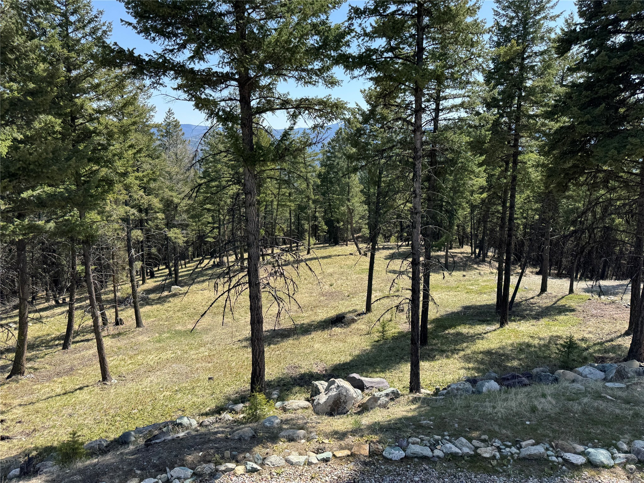 550 Jackson Meadows Road