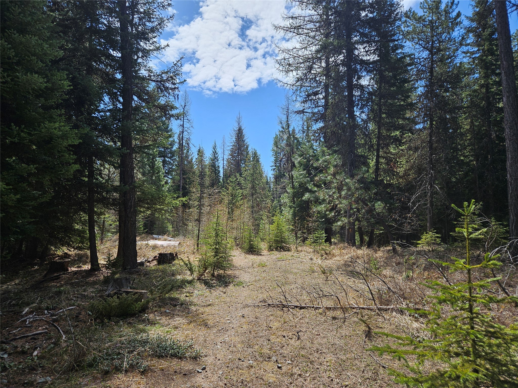 1371 Mountain Meadow Road