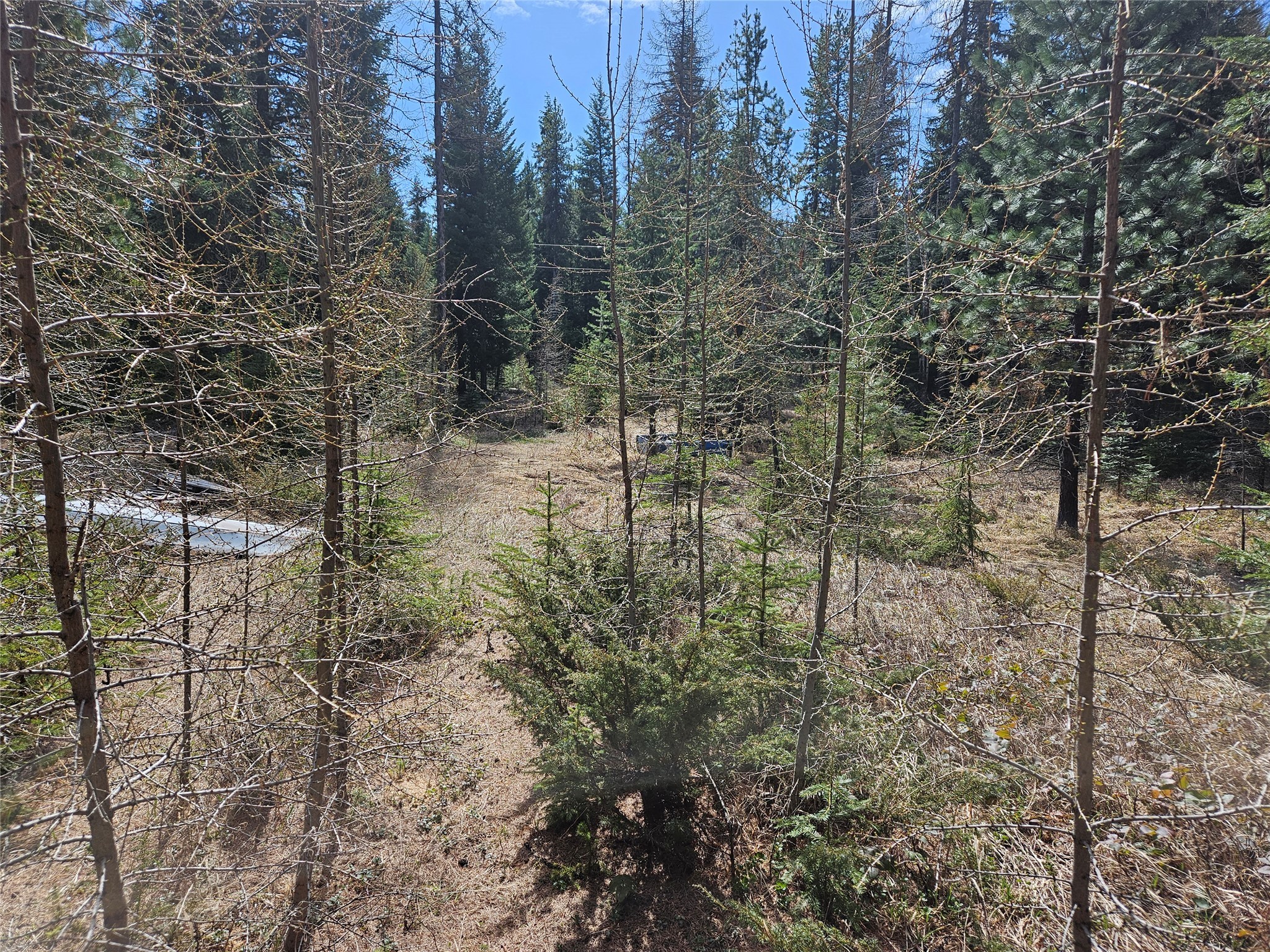 1371 Mountain Meadow Road