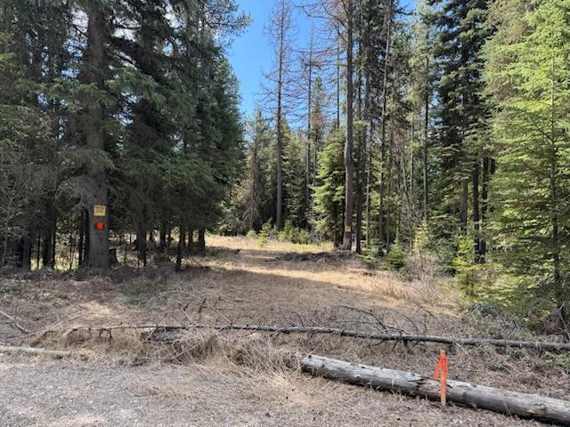 1371 Mountain Meadow Road