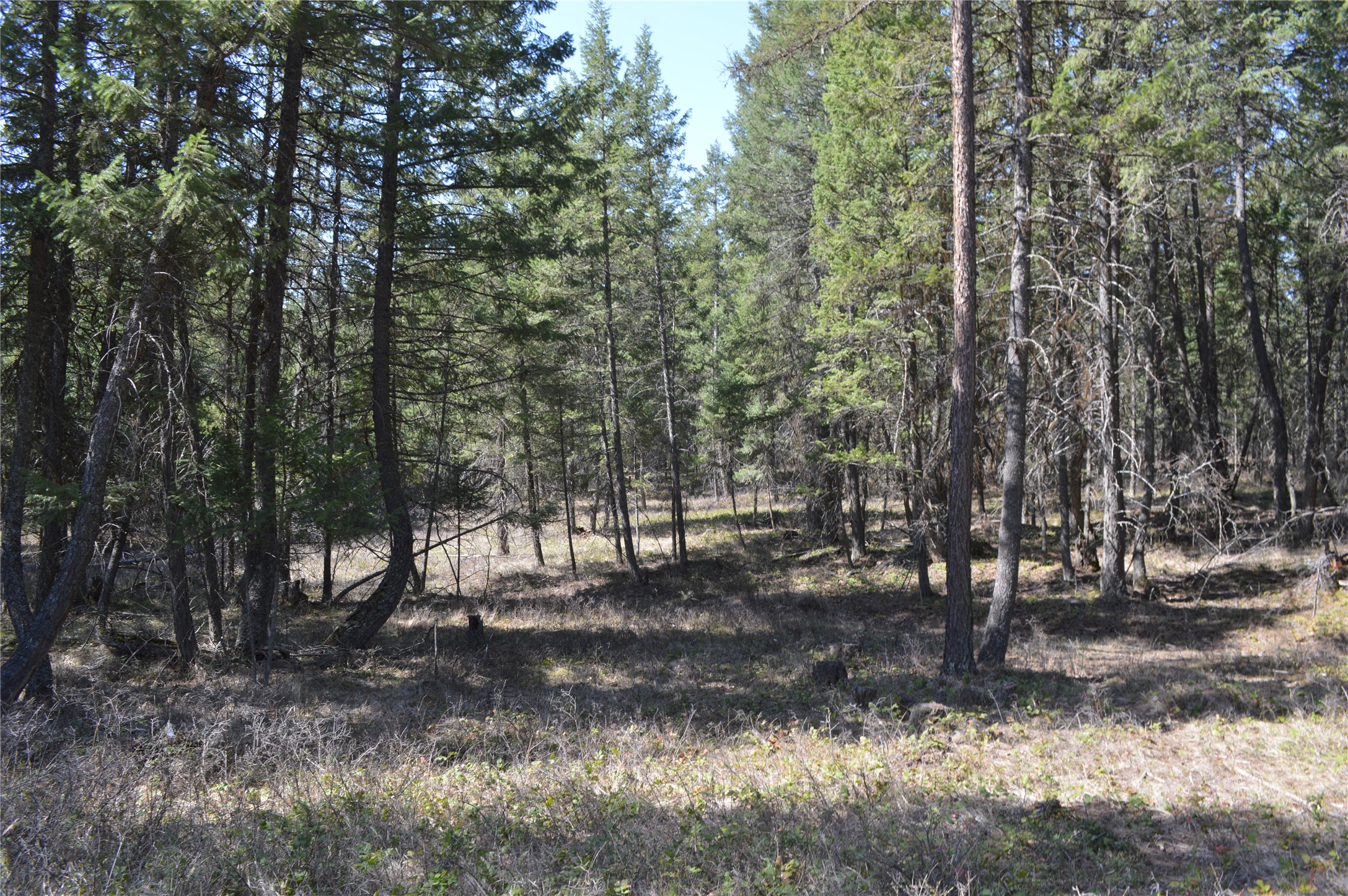 2250 Ranch Road
