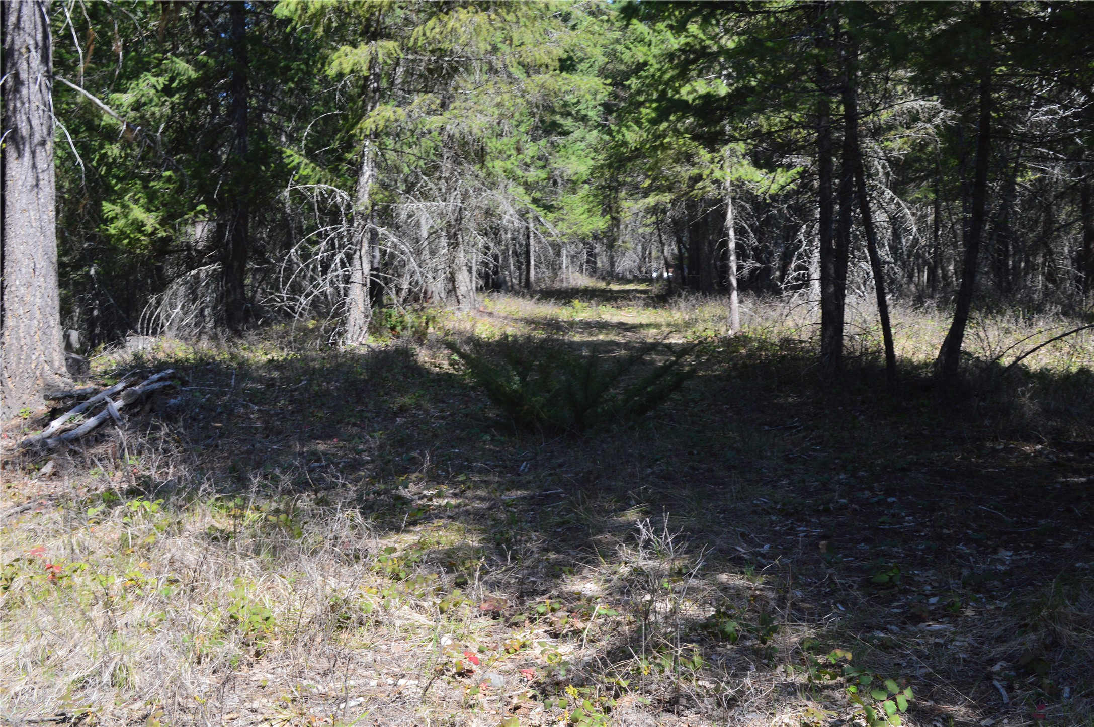 2250 Ranch Road