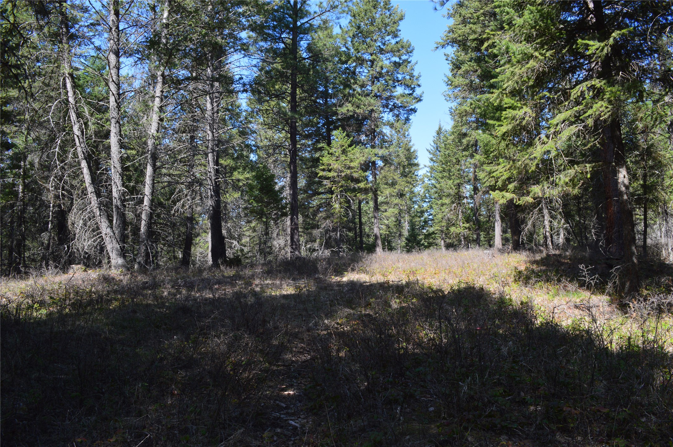 2250 Ranch Road