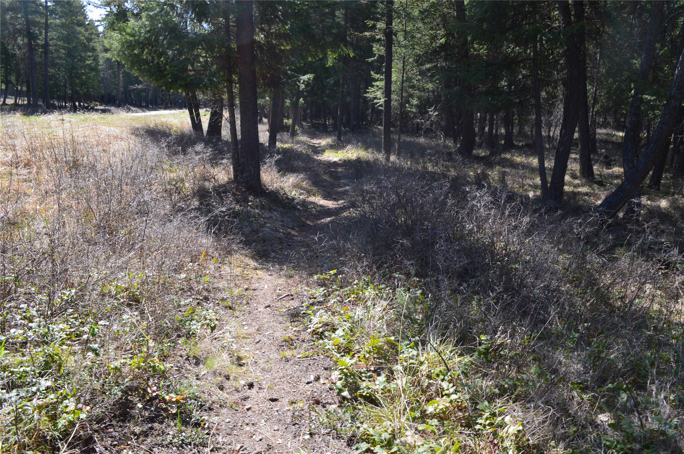2250 Ranch Road