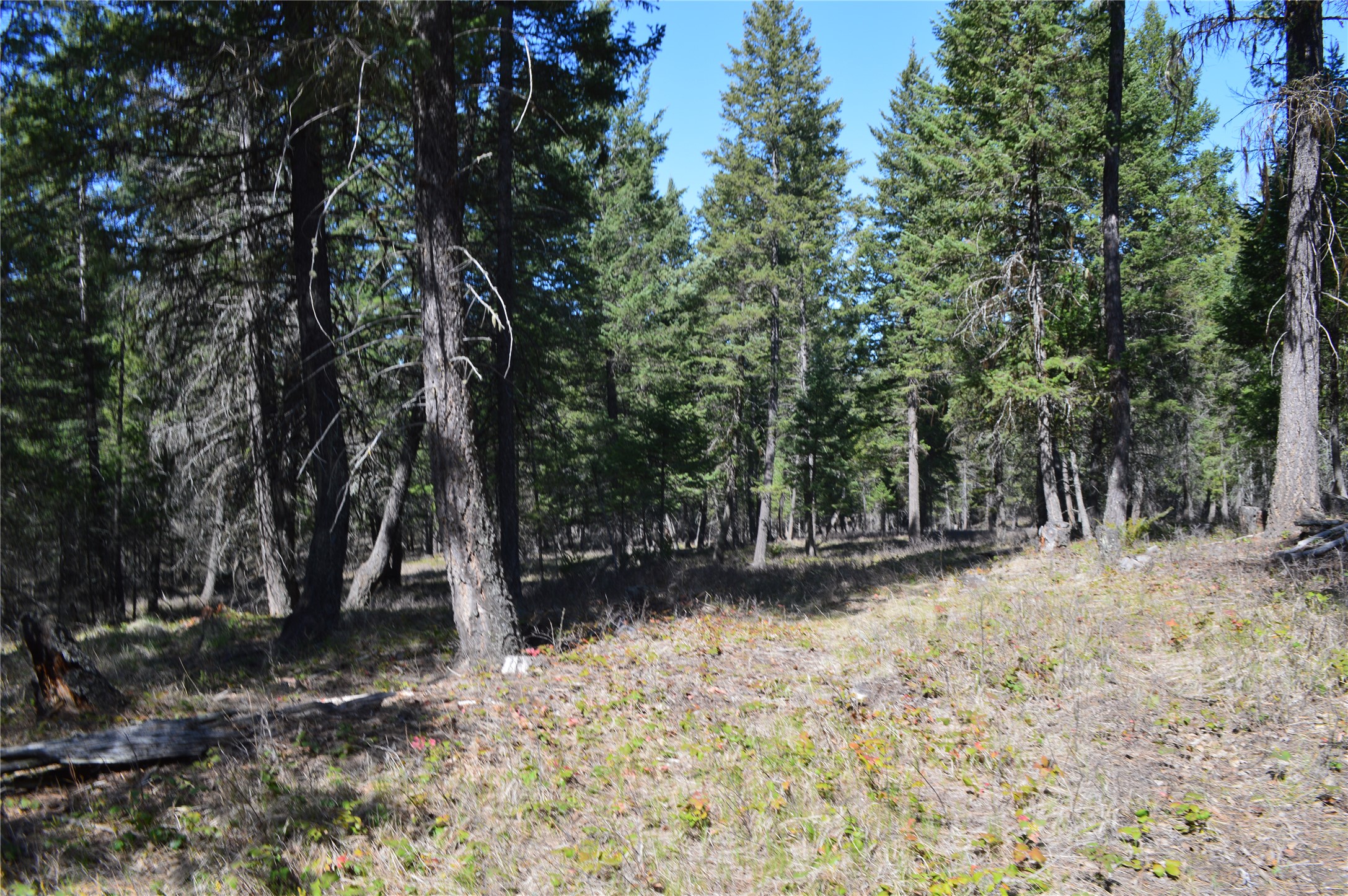 2250 Ranch Road
