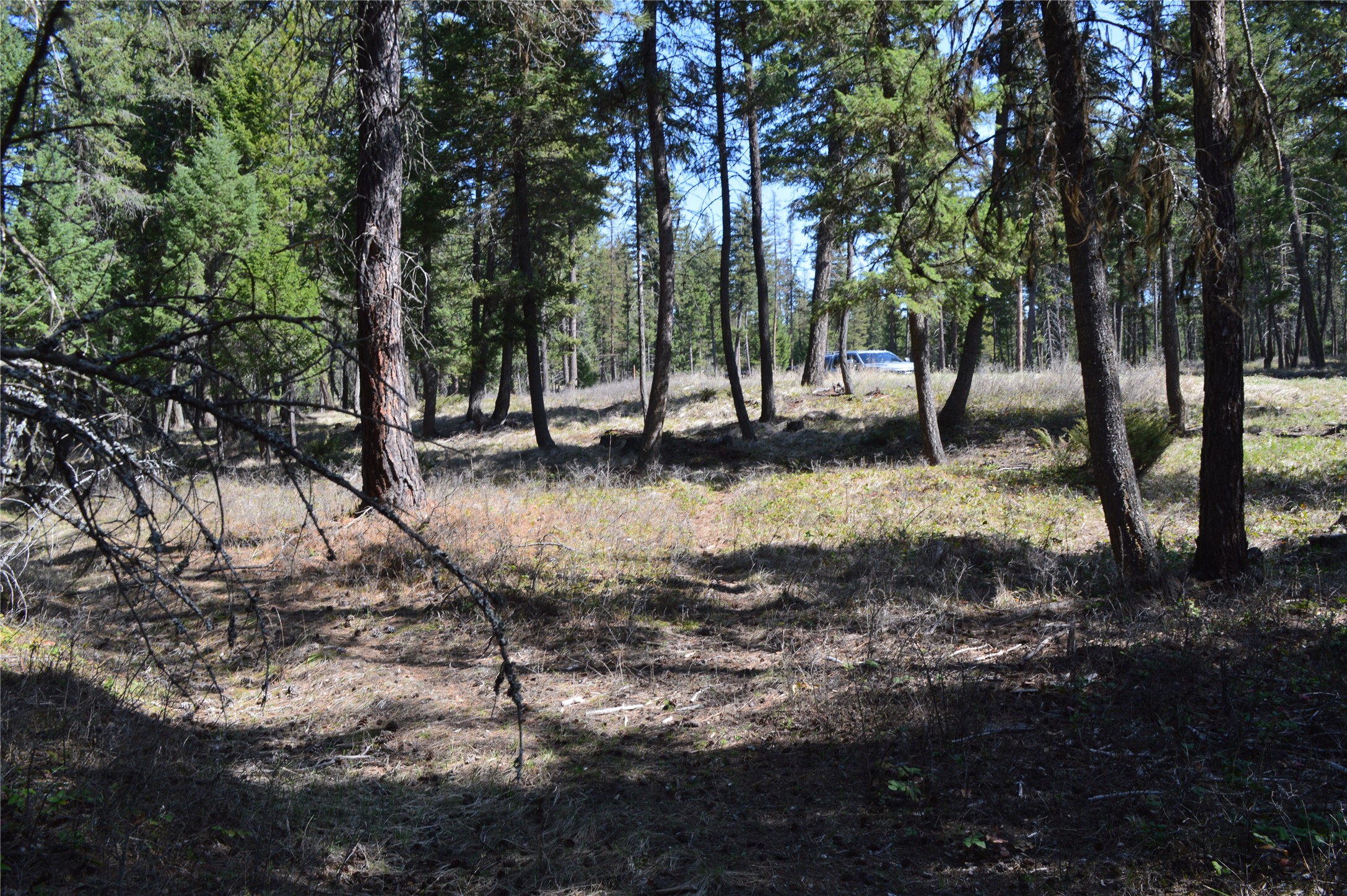 2250 Ranch Road