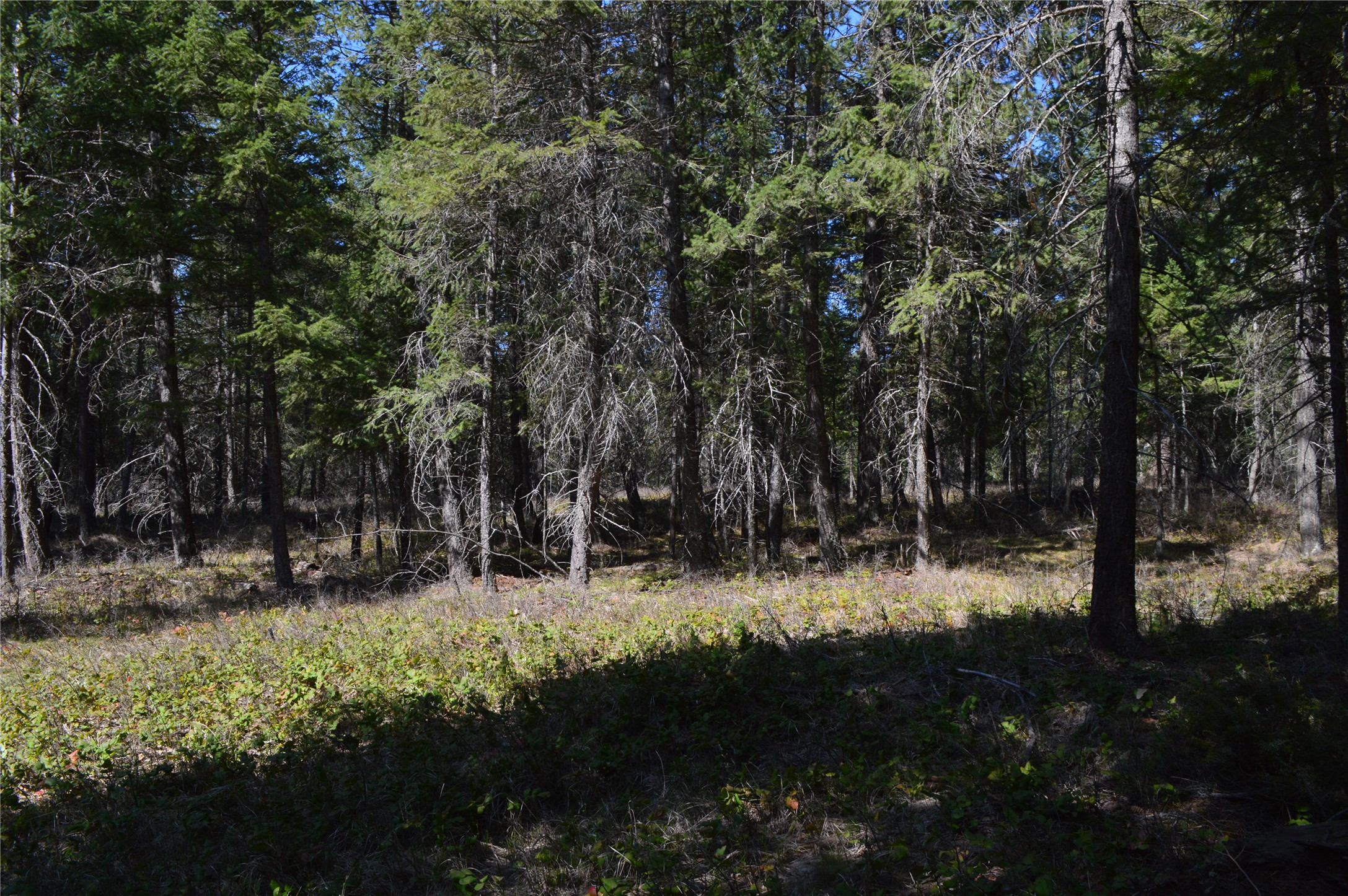 2250 Ranch Road