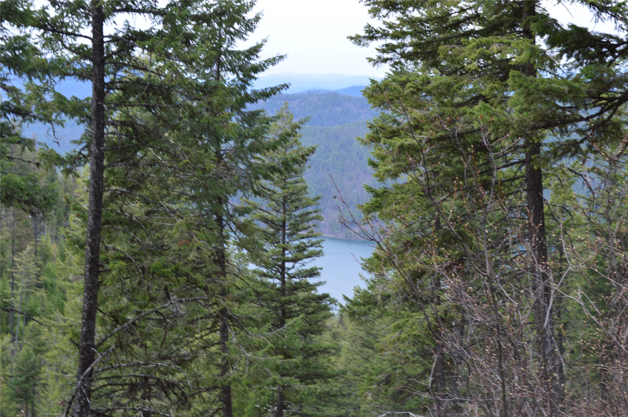 NHN E Lakeshore Drive